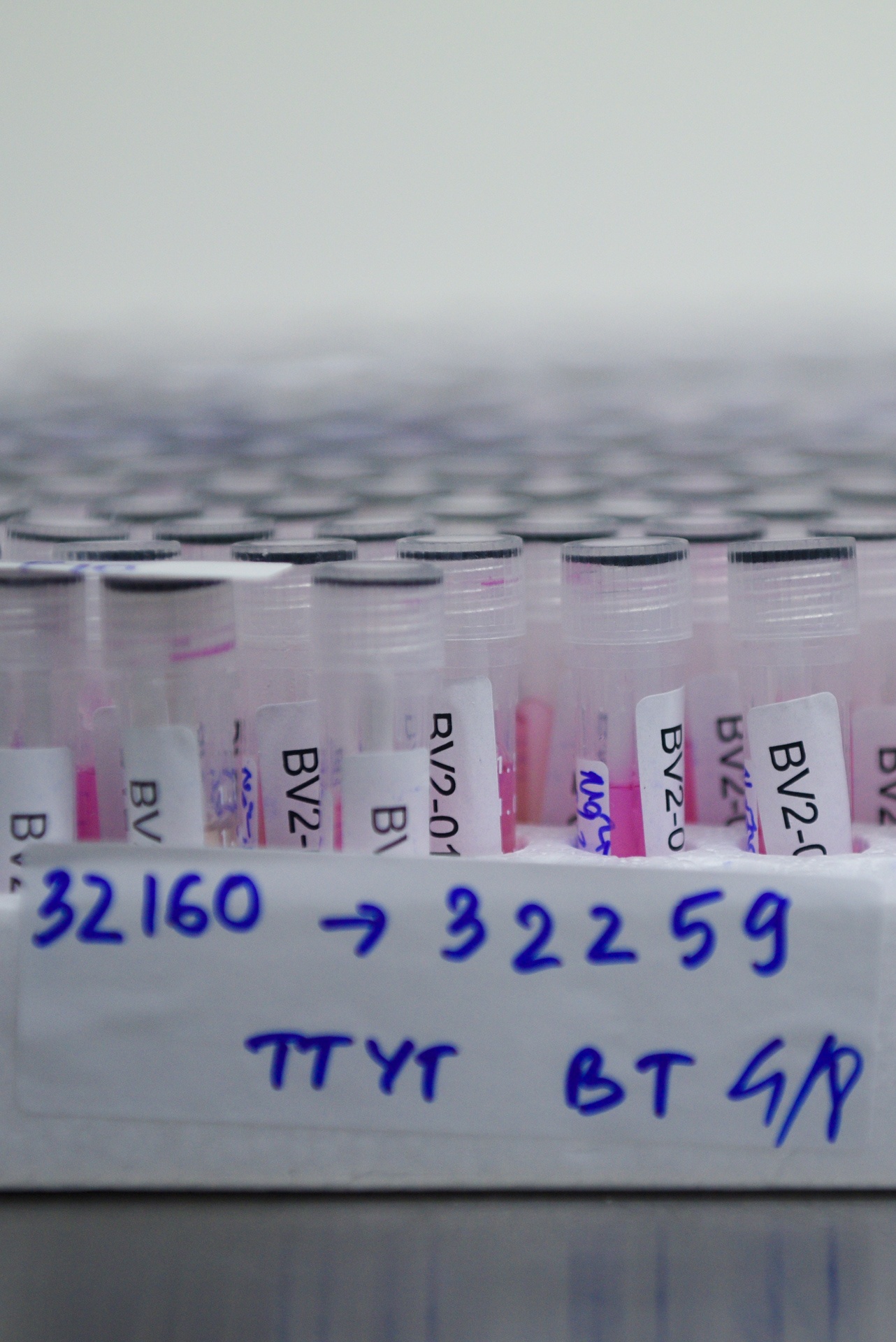 xet nghiem Covid-19 anh 8