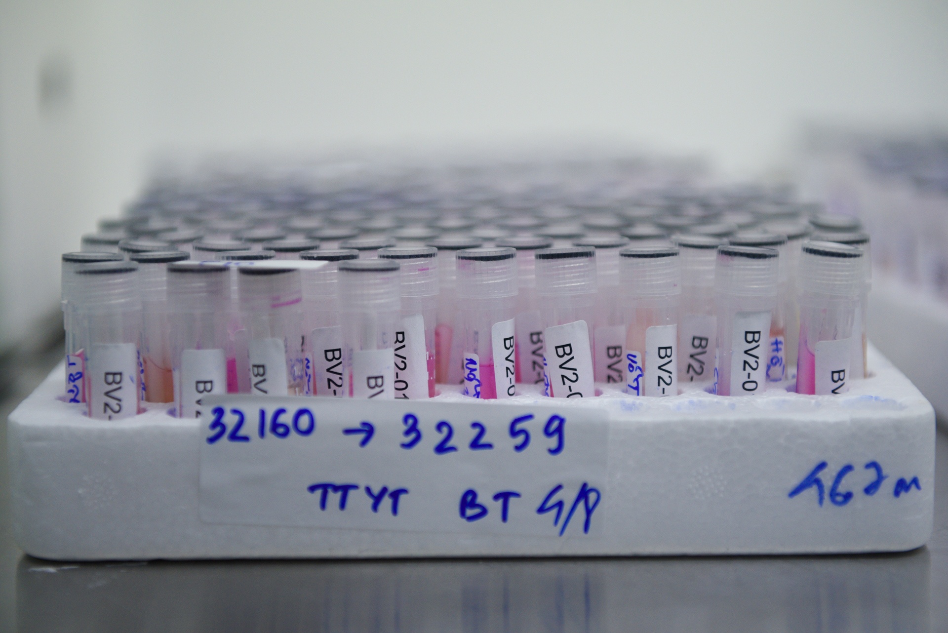 xet nghiem Covid-19 anh 7