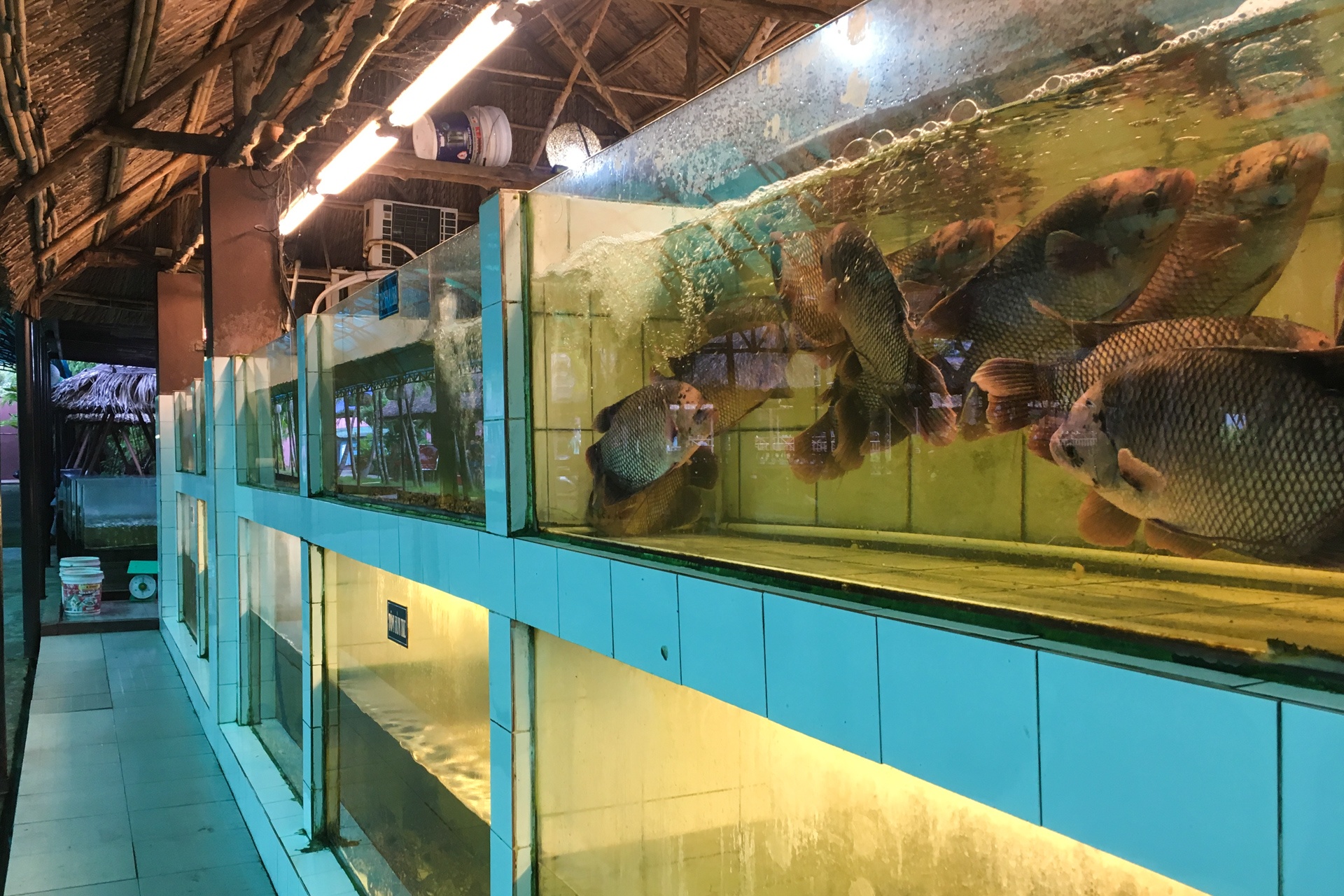 Khu am thuc sinh thai Binh Xuyen xay dung trai phep anh 8