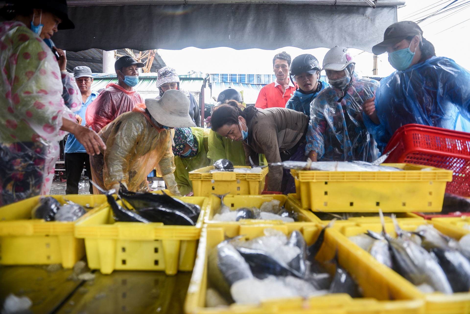 Da Nang chong bao so 5 anh 3