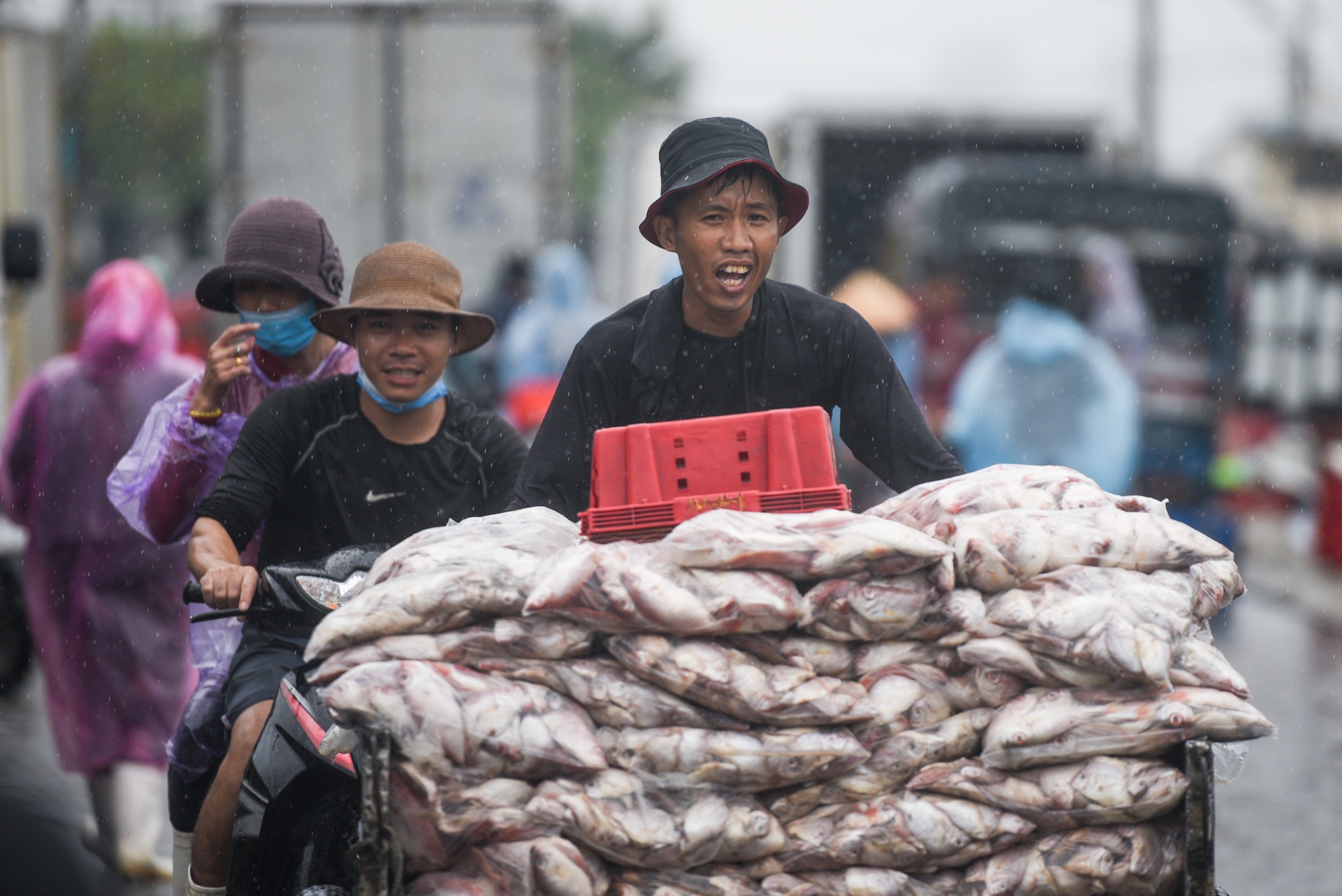 Da Nang chong bao so 5 anh 1