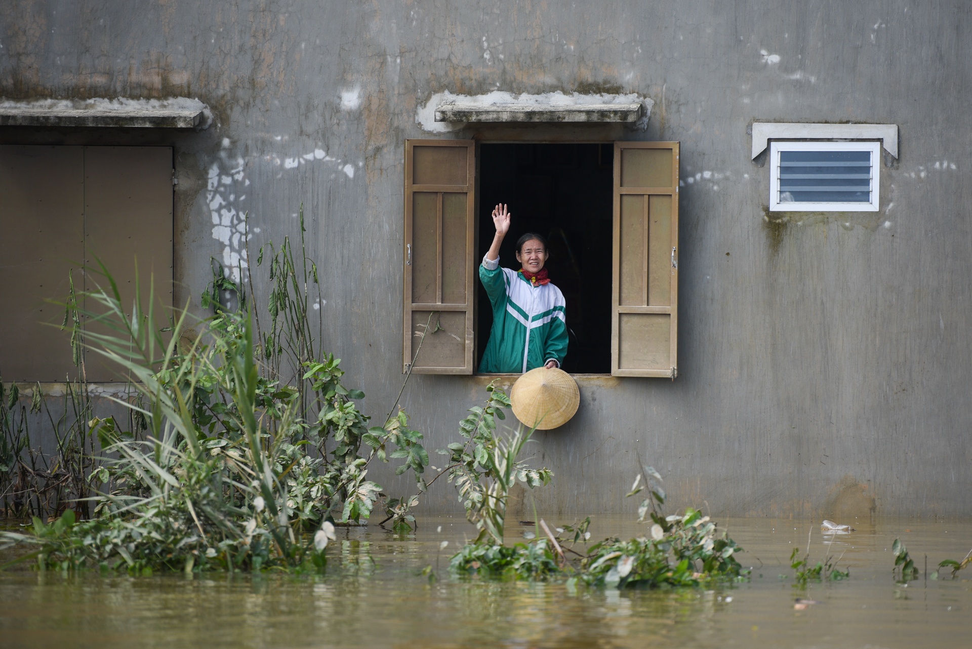 mat hoa mau sau lu anh 8