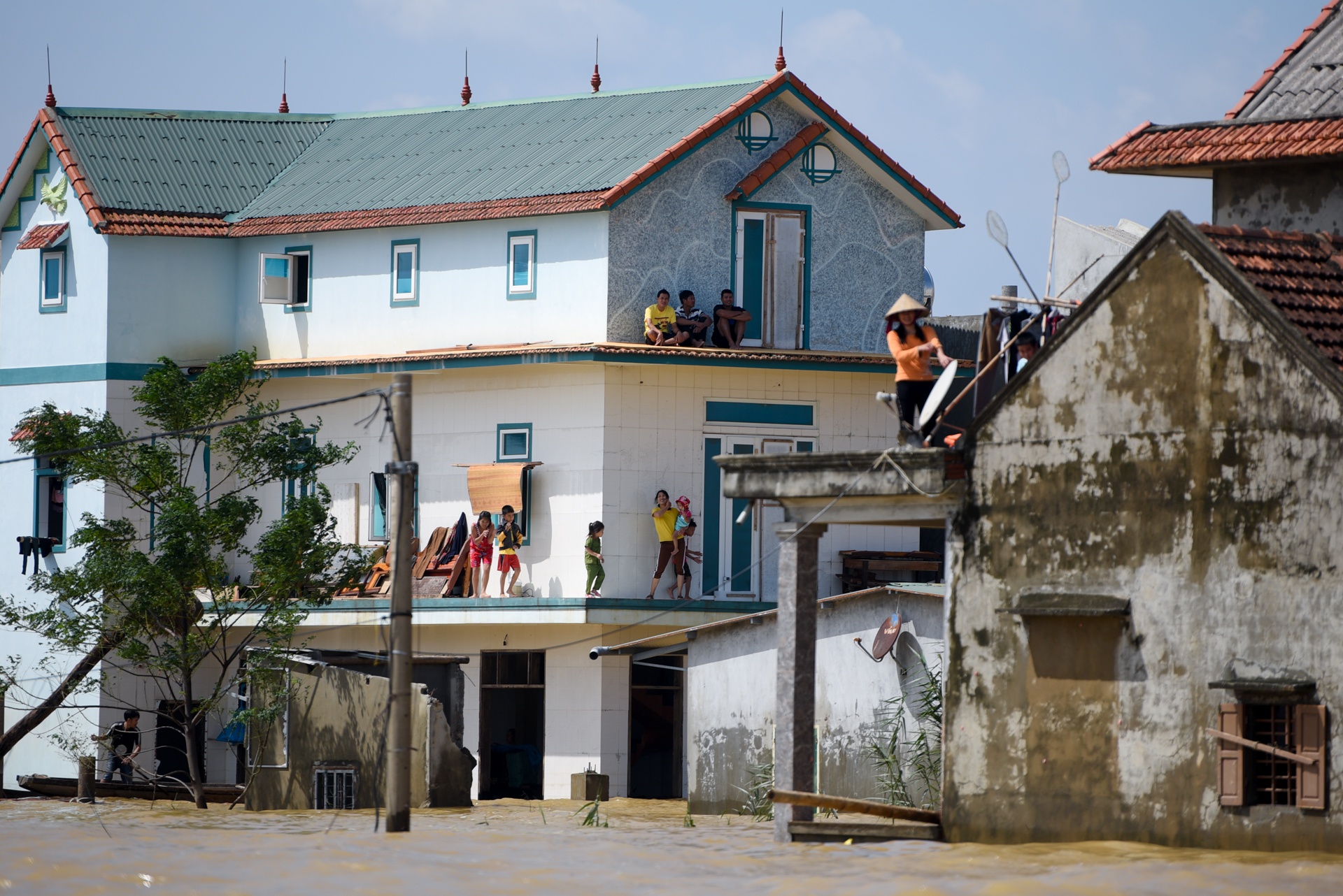 mat hoa mau sau lu anh 1