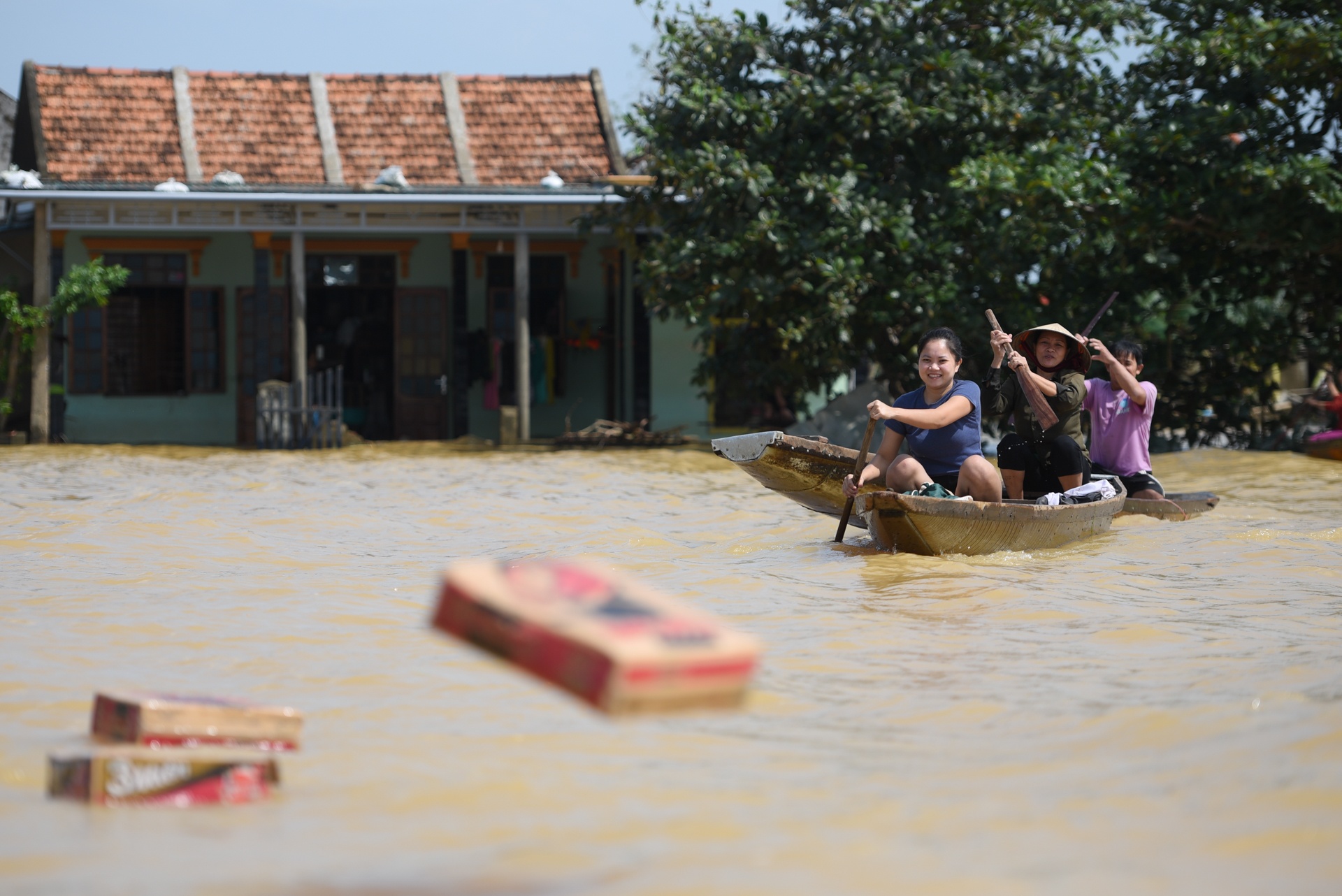 mat hoa mau sau lu anh 9