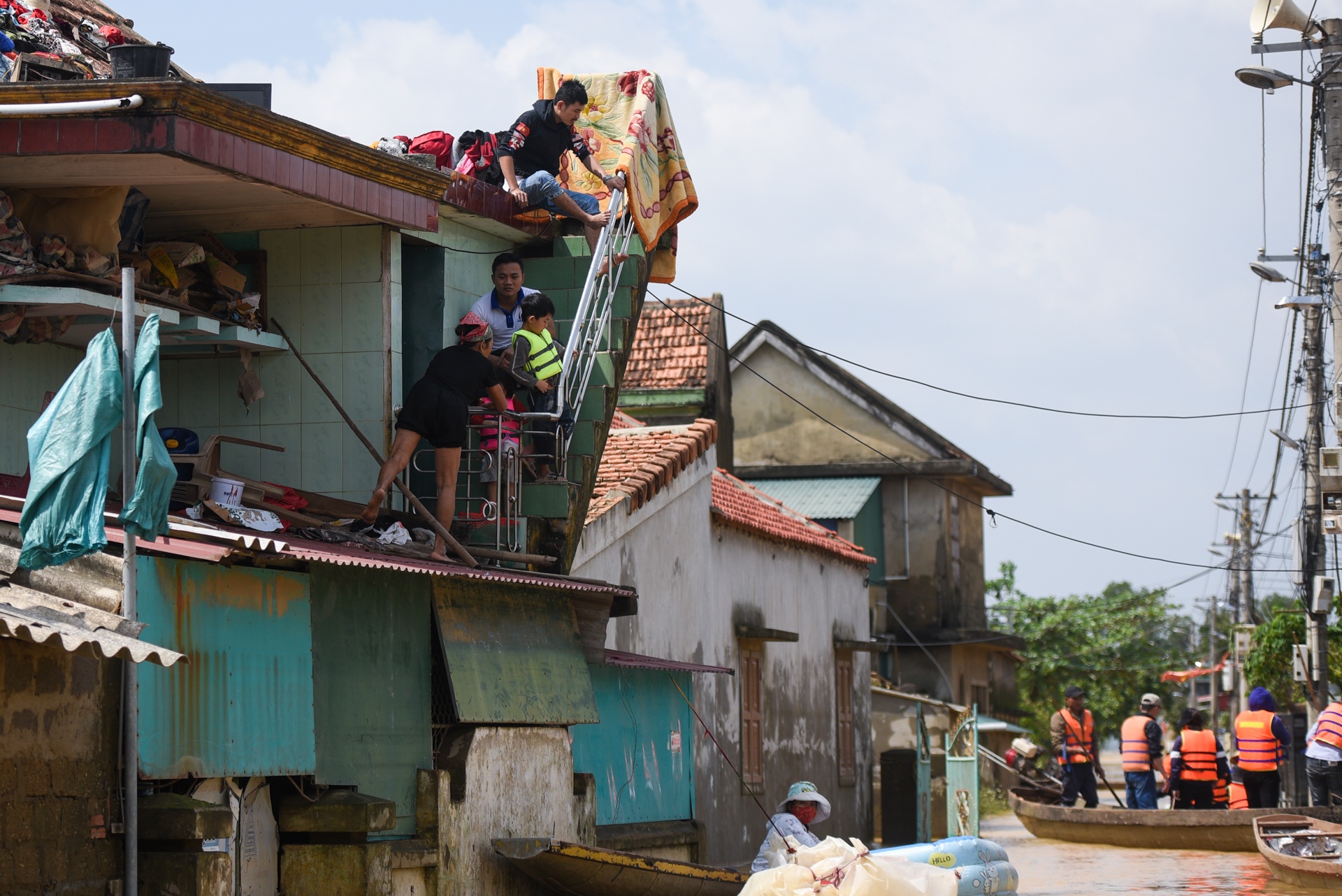 mat hoa mau sau lu anh 7