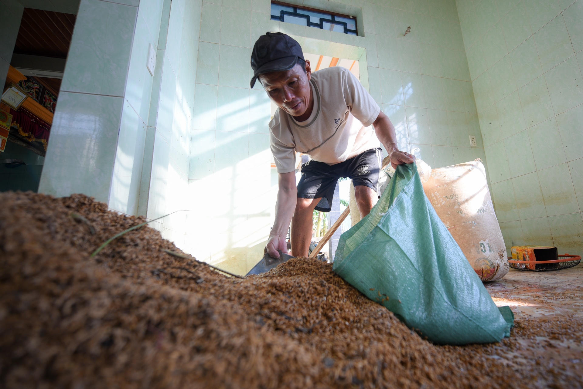 mat hoa mau sau lu anh 2