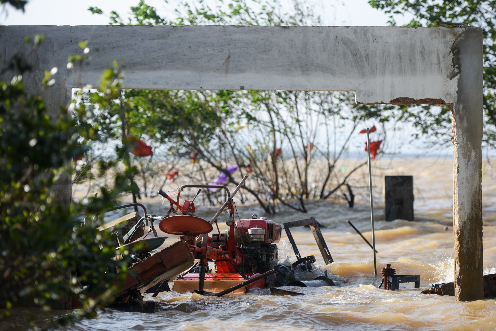 mat hoa mau sau lu anh 3