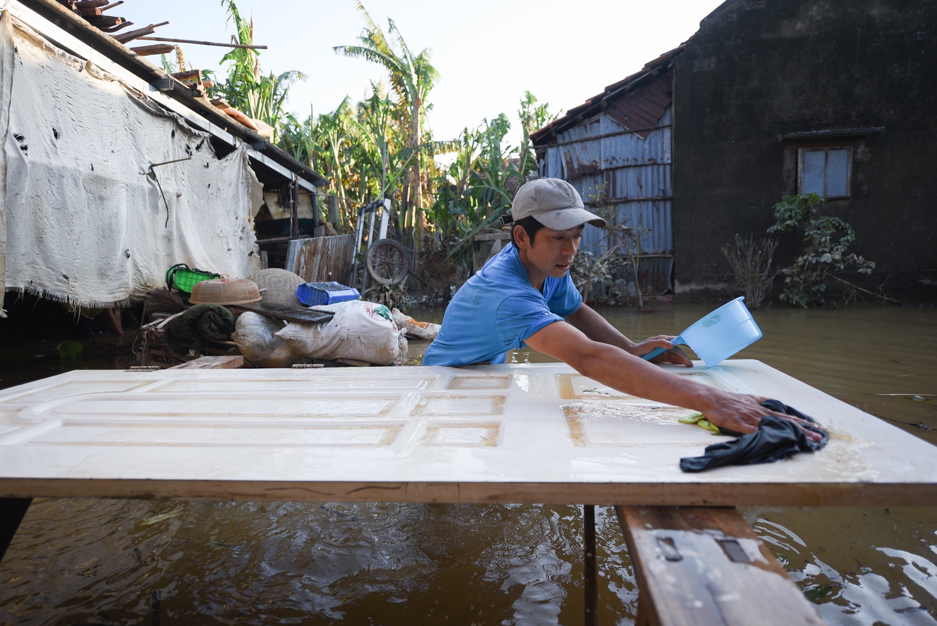 mat hoa mau sau lu anh 5