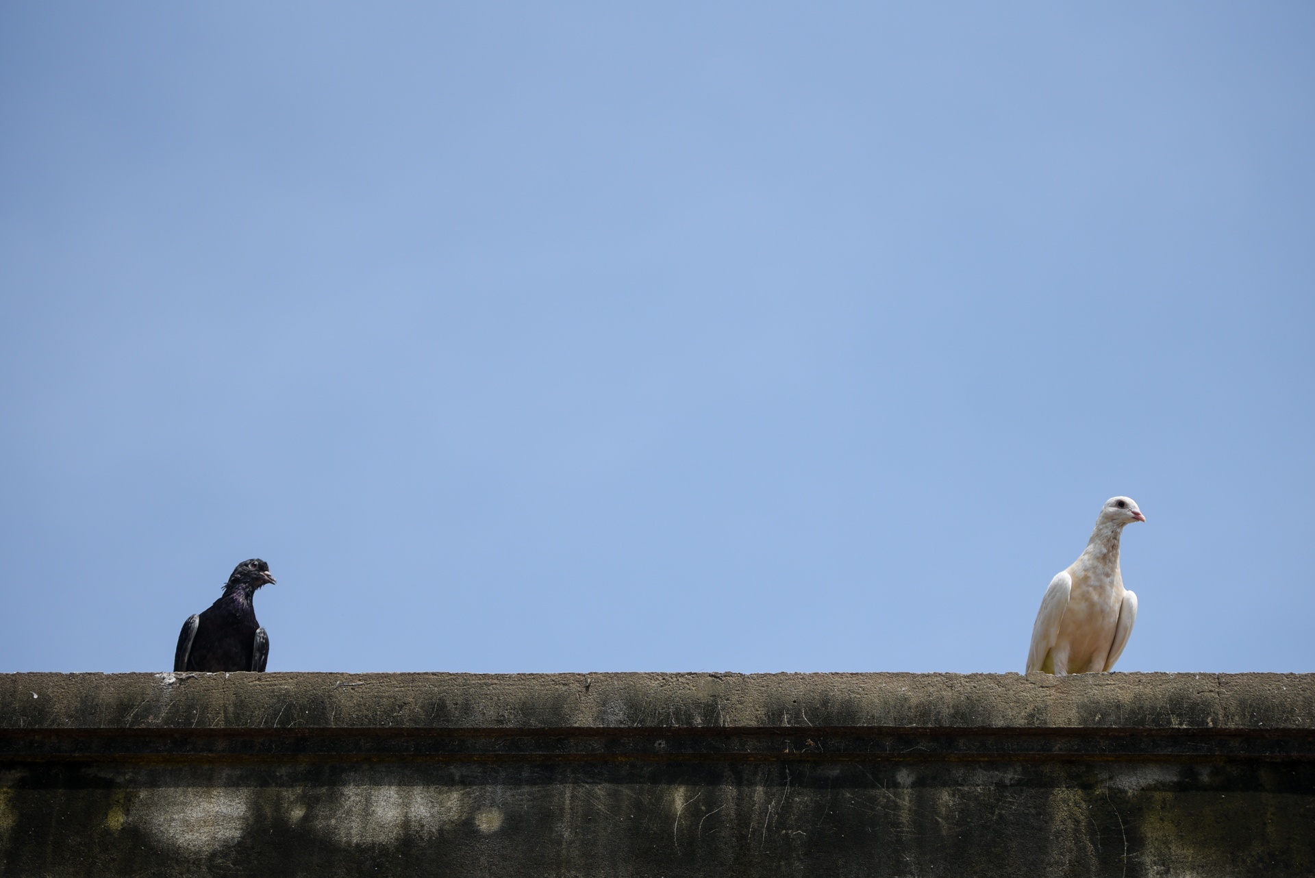 lu lut Quang Binh anh 7