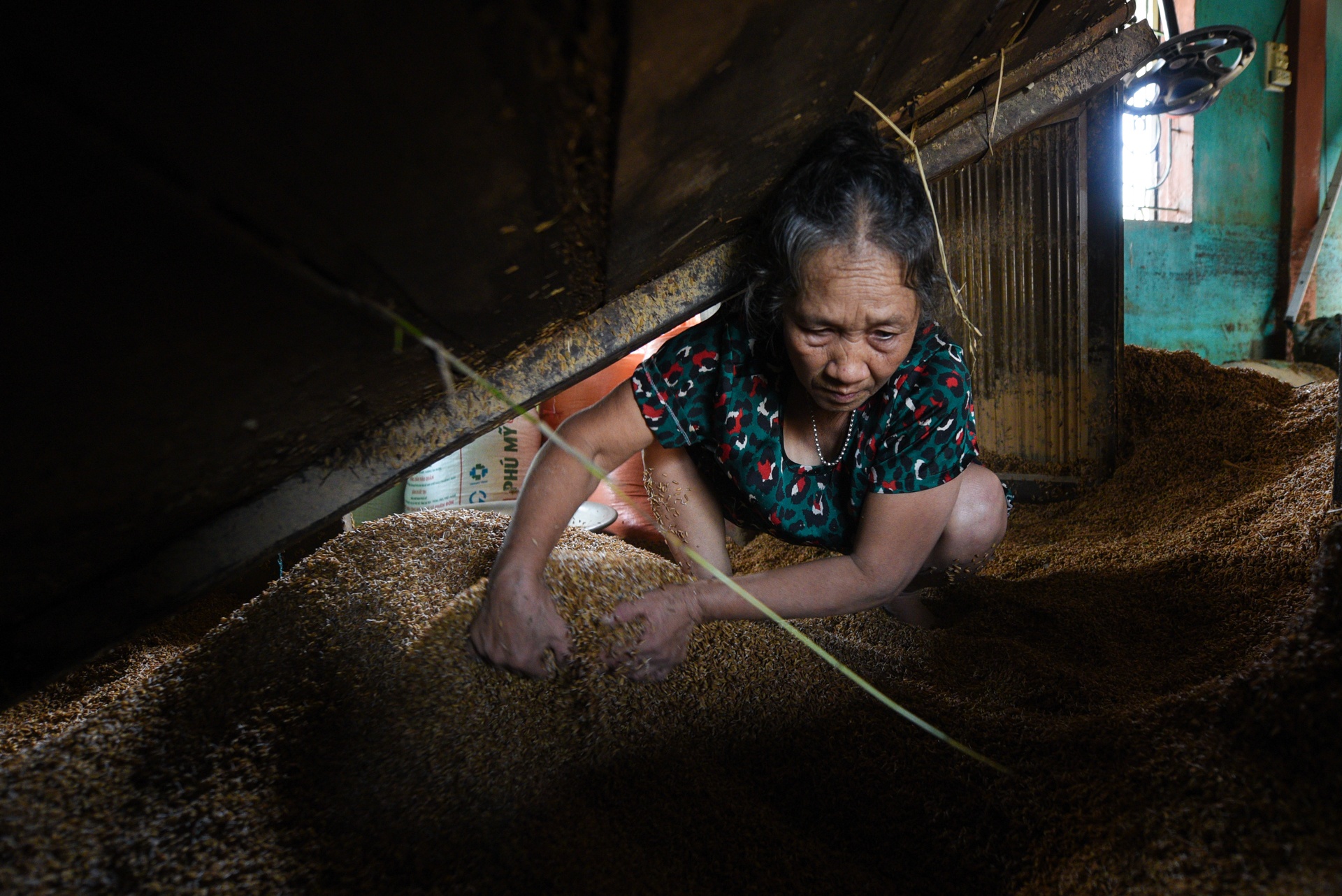 lu lut Quang Binh anh 8