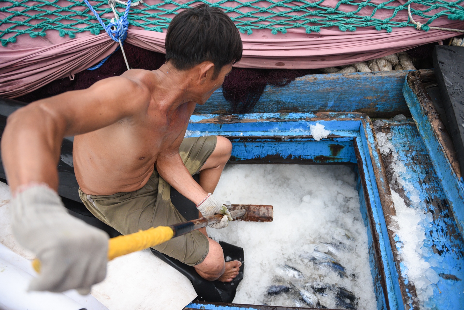 Tau ca tranh bao so 9 anh 2