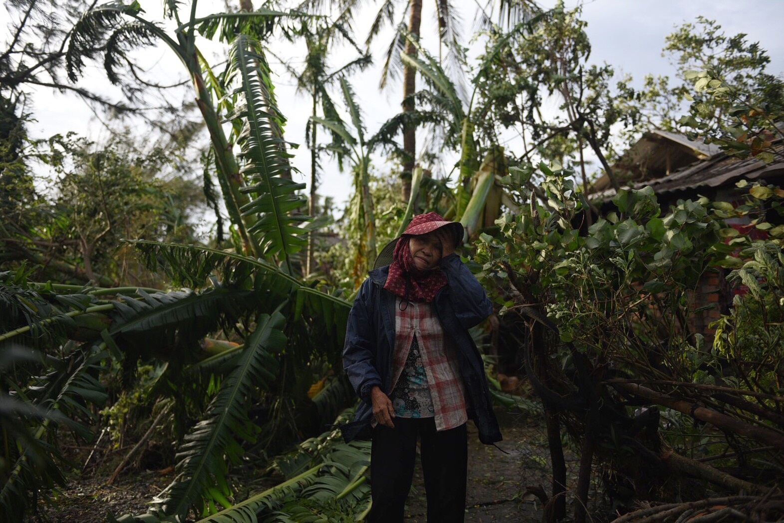 bao so 9 vao Quang Ngai anh 1