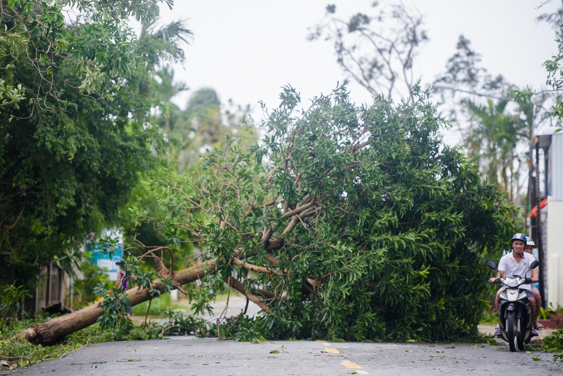 bao so 9 vao quang ngai anh 3