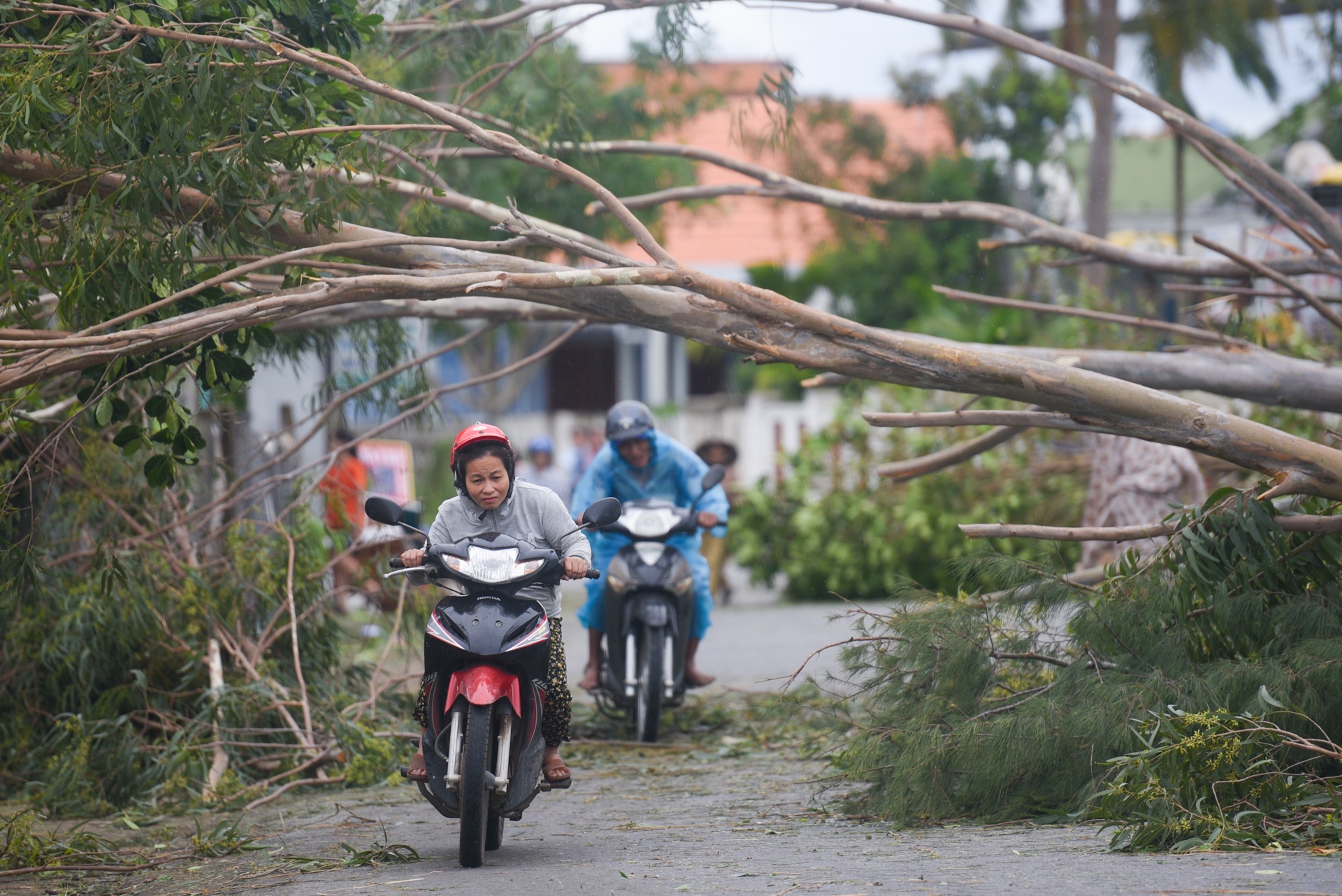 bao so 9 vao quang ngai anh 1