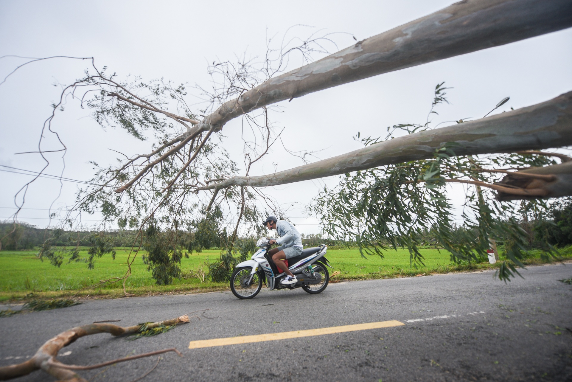 bao so 9 vao quang ngai anh 6