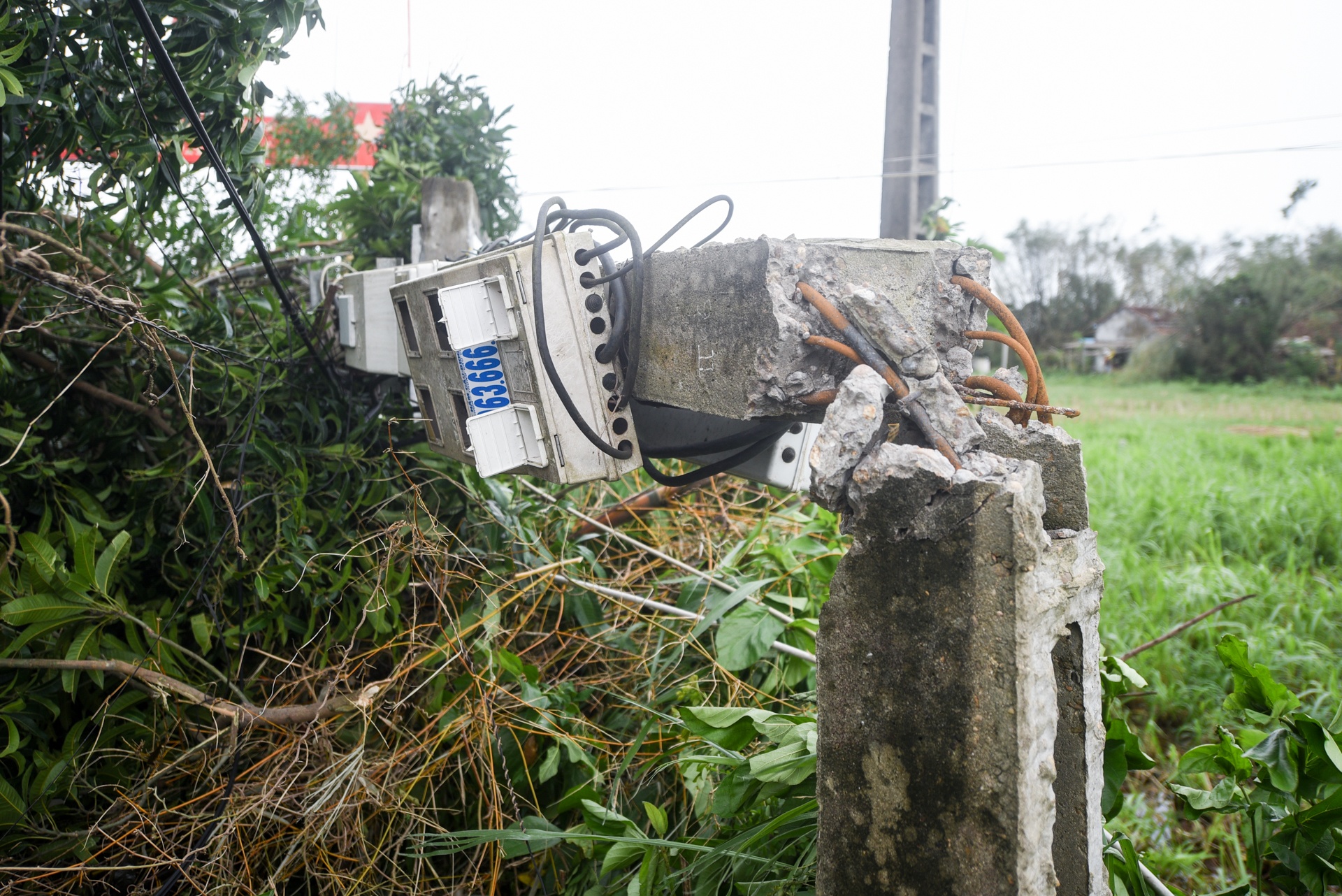 bao so 9 vao quang ngai anh 4