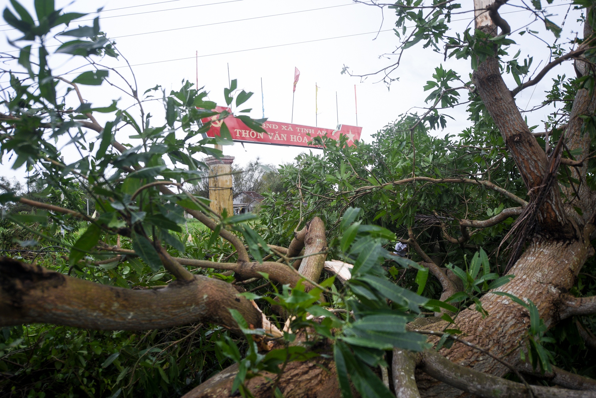 bao so 9 vao quang ngai anh 2