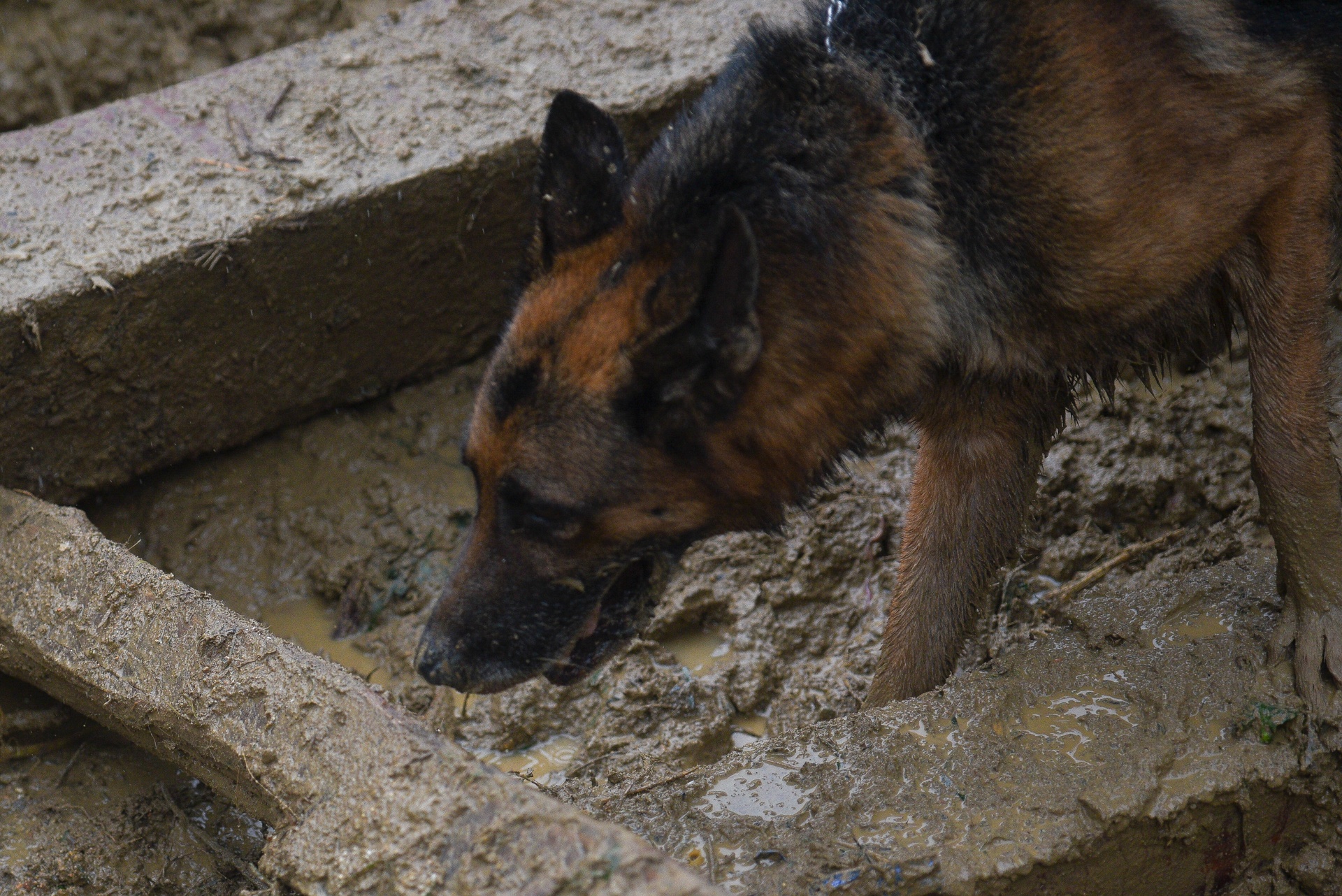 sat lo Tra Leng anh 6