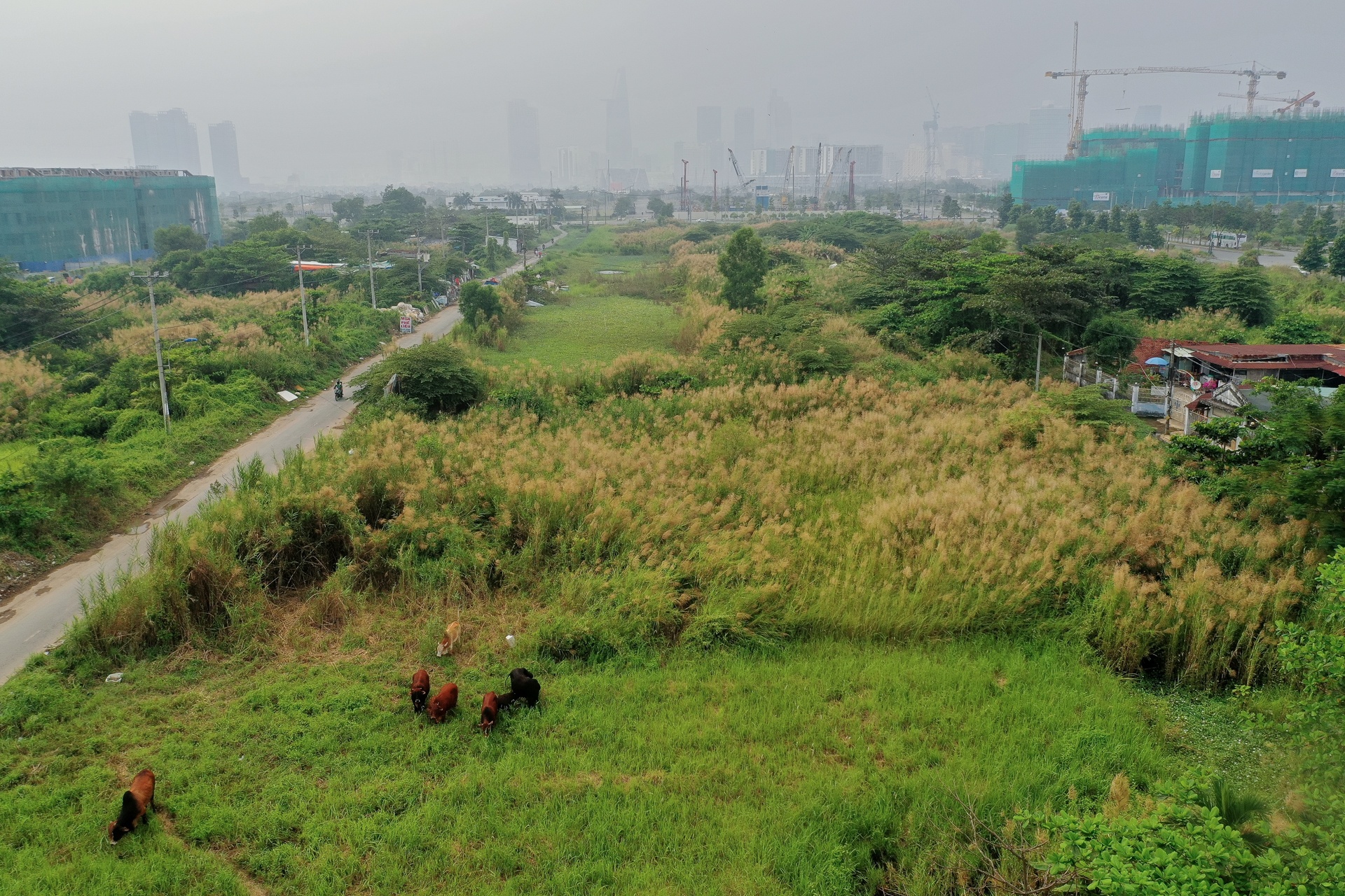 o nhiem khong khi TP.HCM anh 9