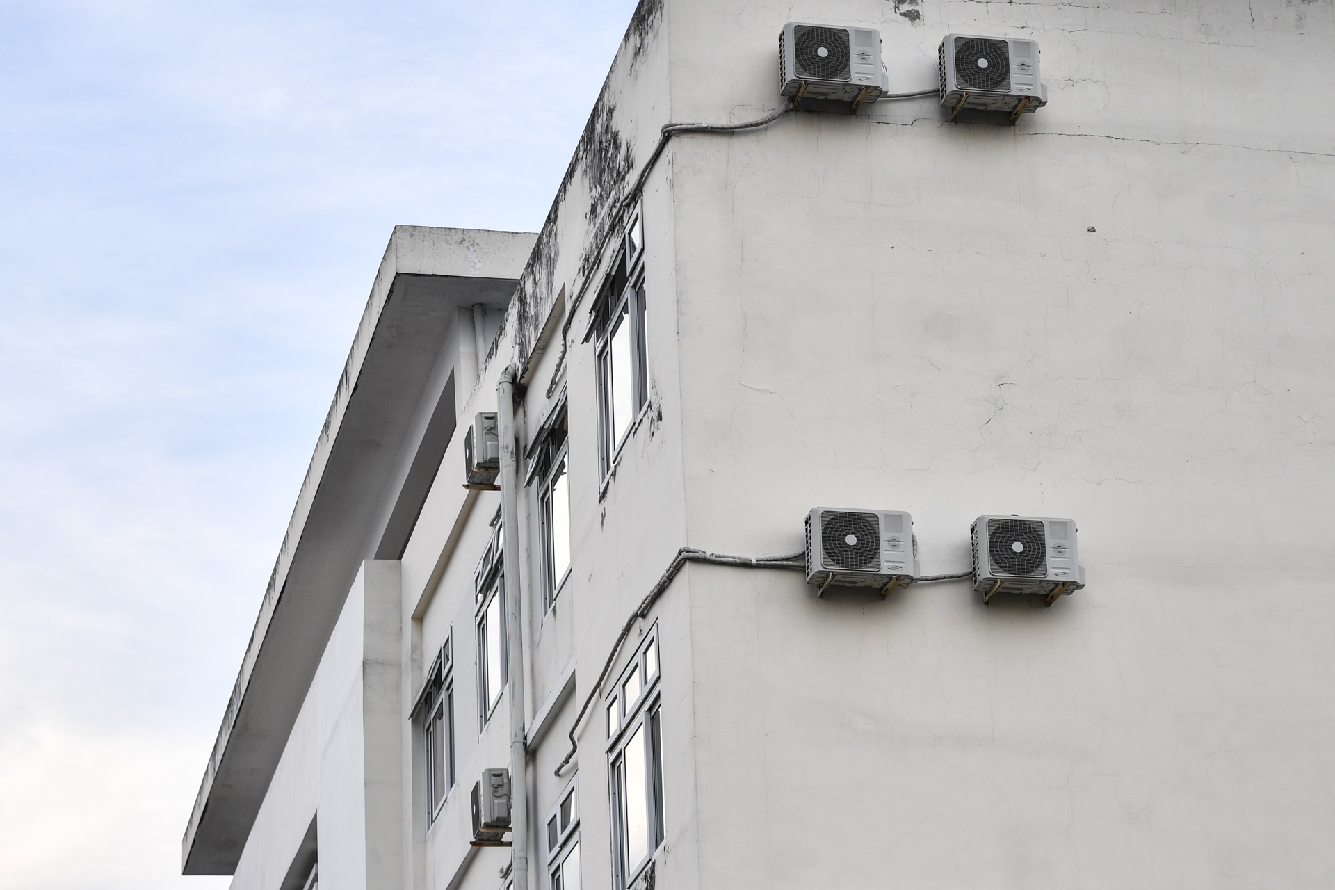 bo hoang benh vien tram ty anh 4