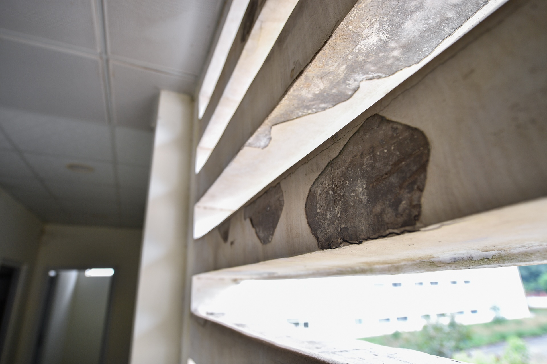 bỏ hoang bệnh viện trăm tỷ ảnh 6 bo hoang benh vien tram ty anh 6