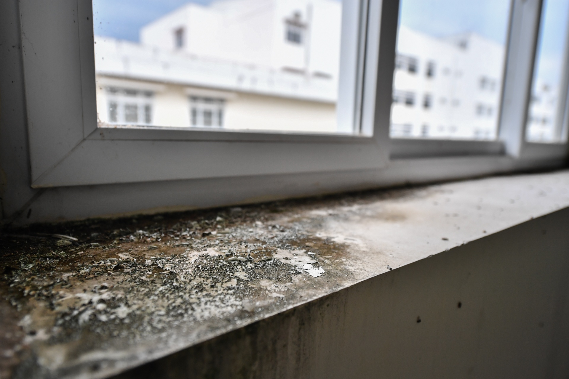 bỏ hoang bệnh viện trăm tỷ ảnh 5 bo hoang benh vien tram ty anh 5