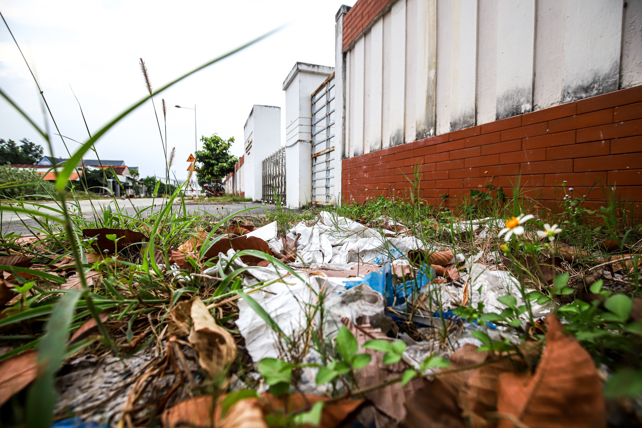 bo hoang benh vien tram ty anh 13