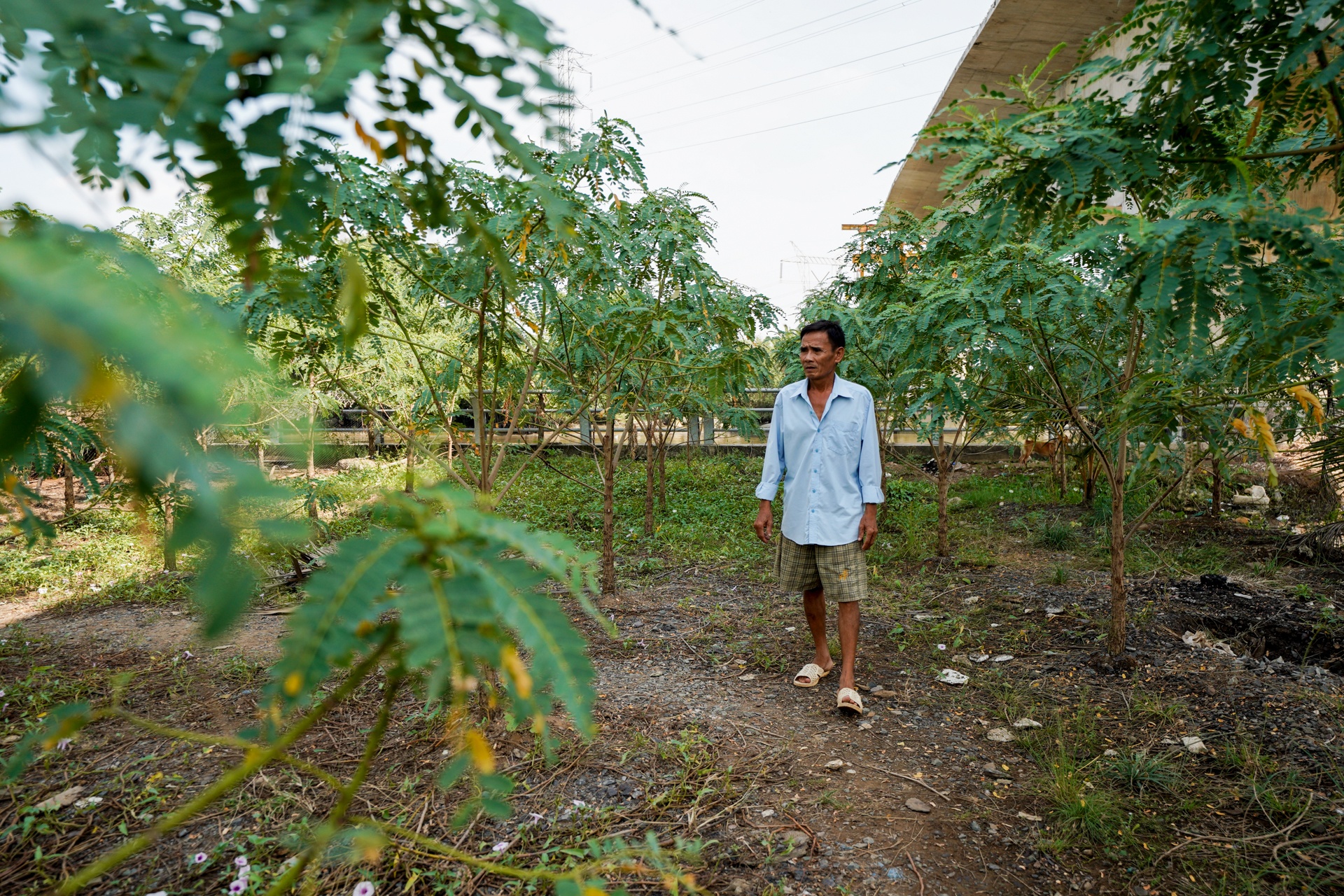 cau dang do tai huyen Nha Be anh 7