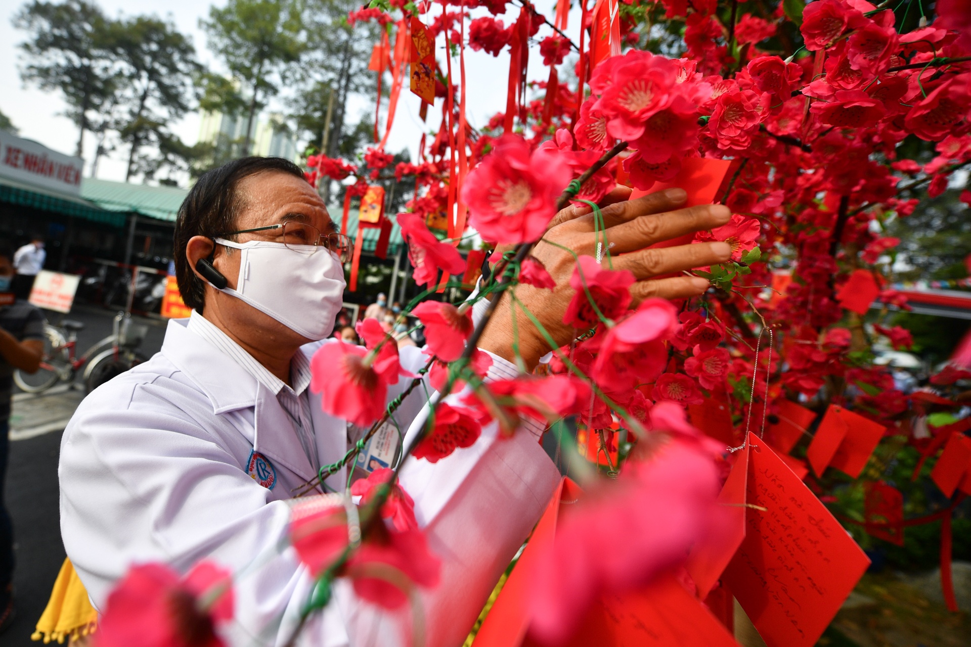 duong hoa benh vien Cho Ray anh 7