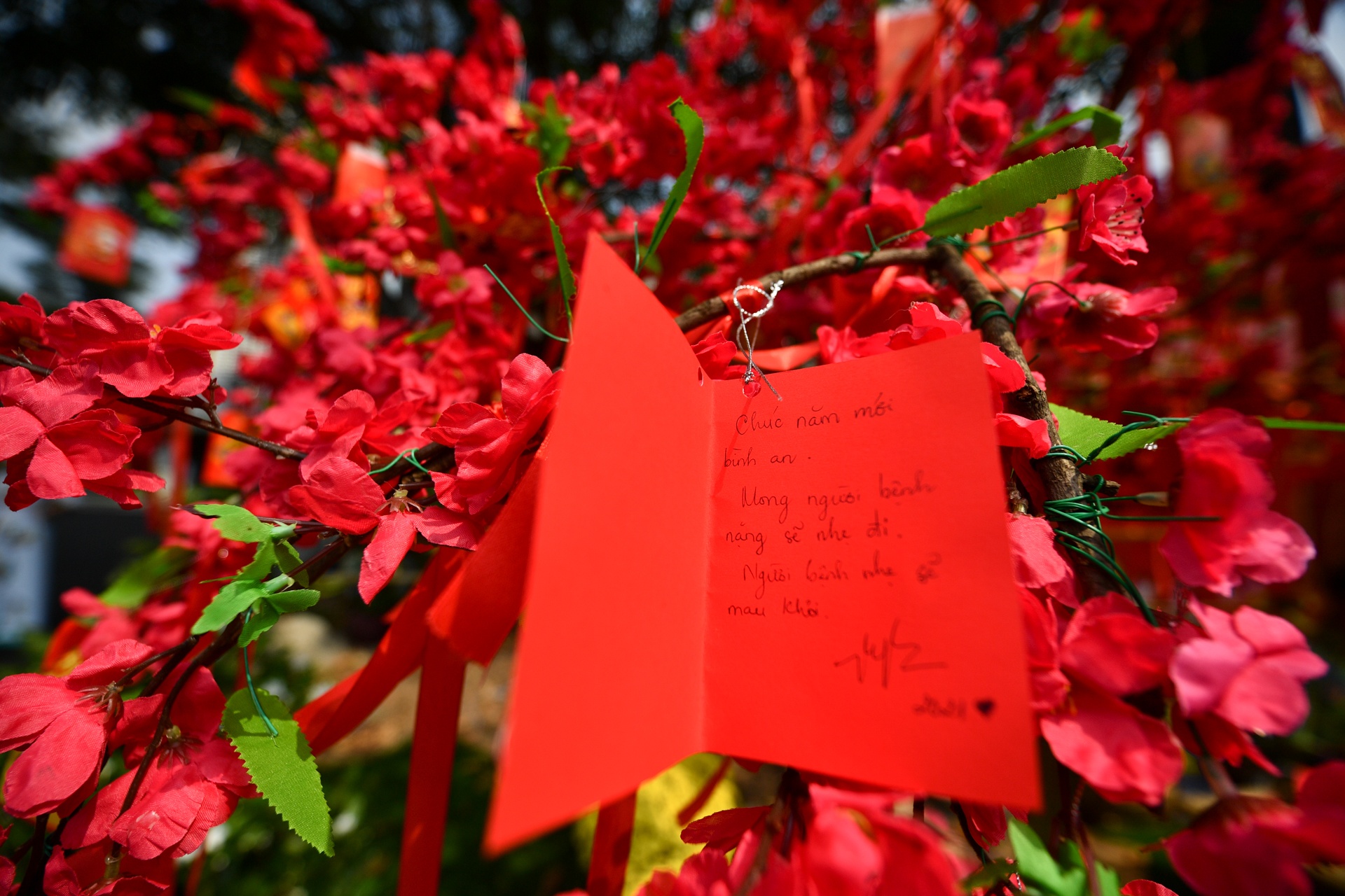 duong hoa benh vien Cho Ray anh 10