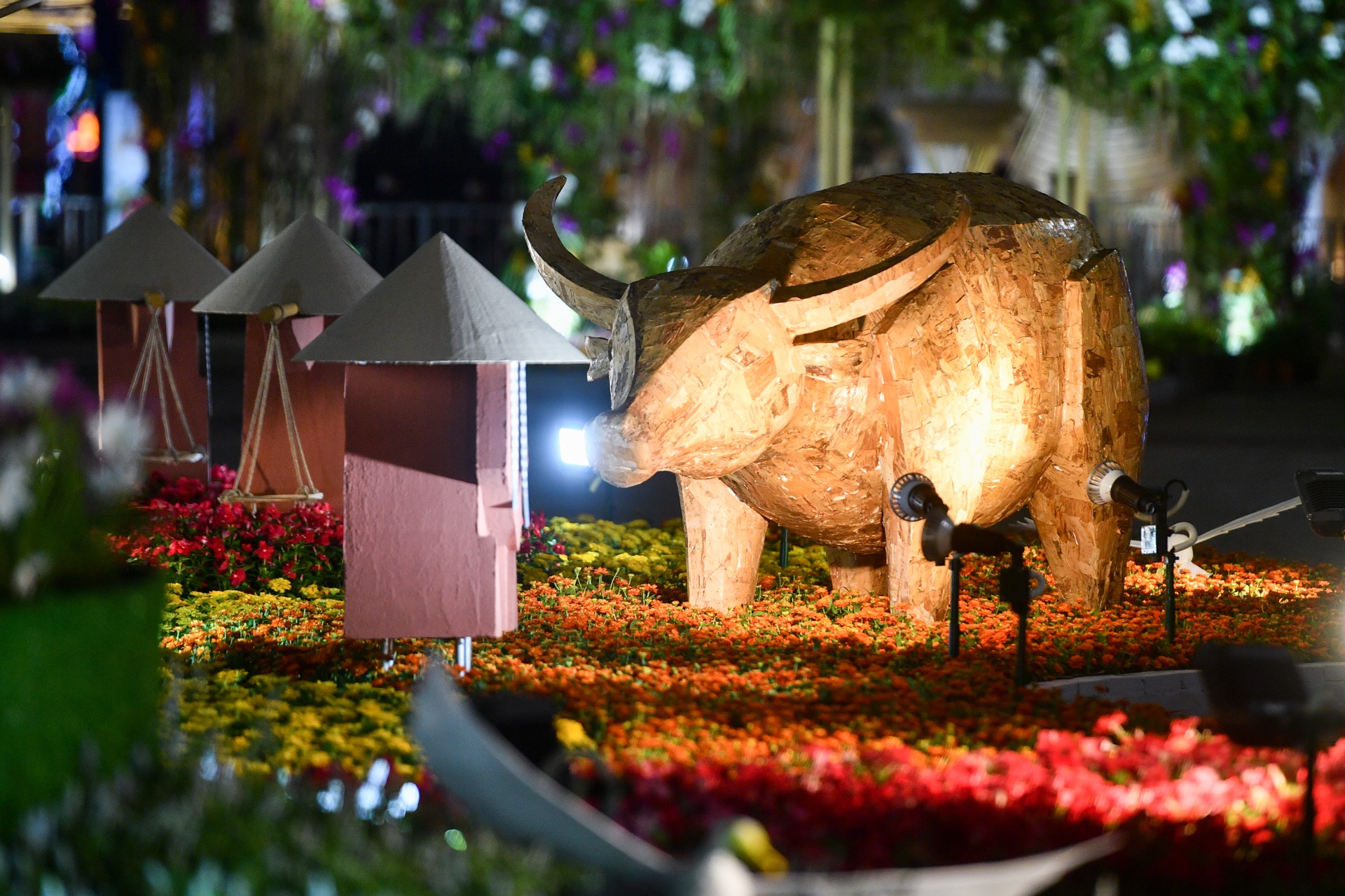 duong hoa Nguyen Hue 2021 anh 25