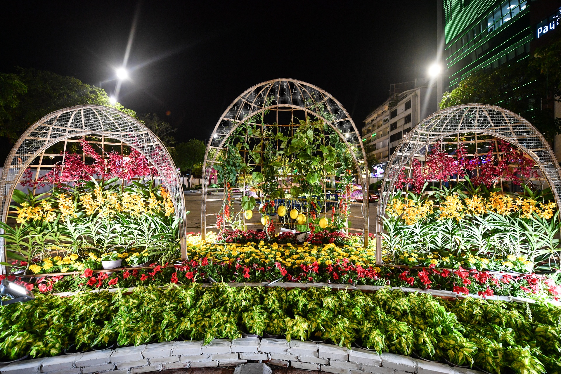 duong hoa Nguyen Hue 2021 anh 27