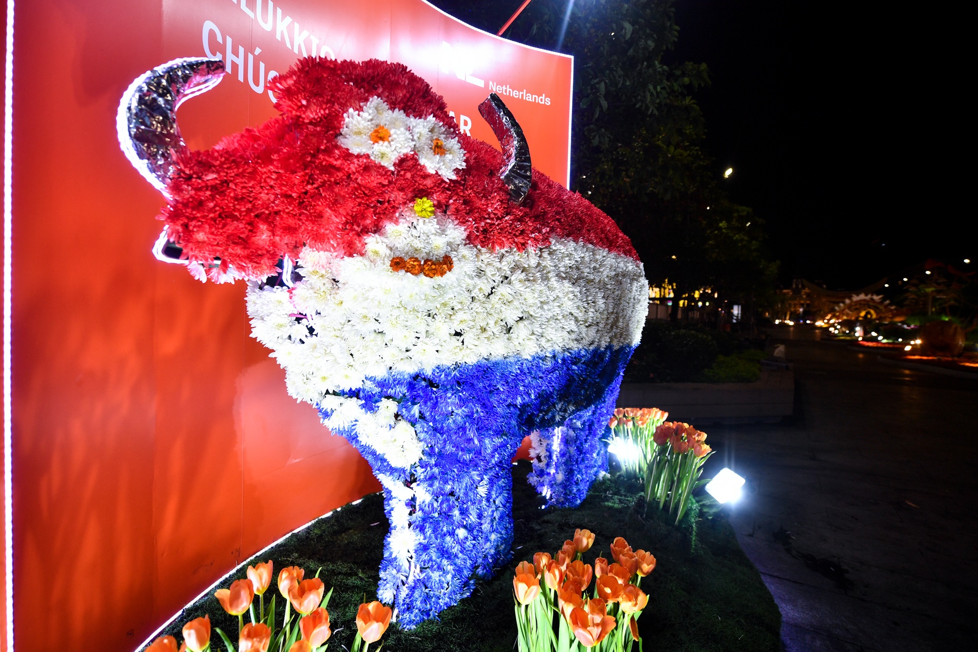 duong hoa Nguyen Hue 2021 anh 26