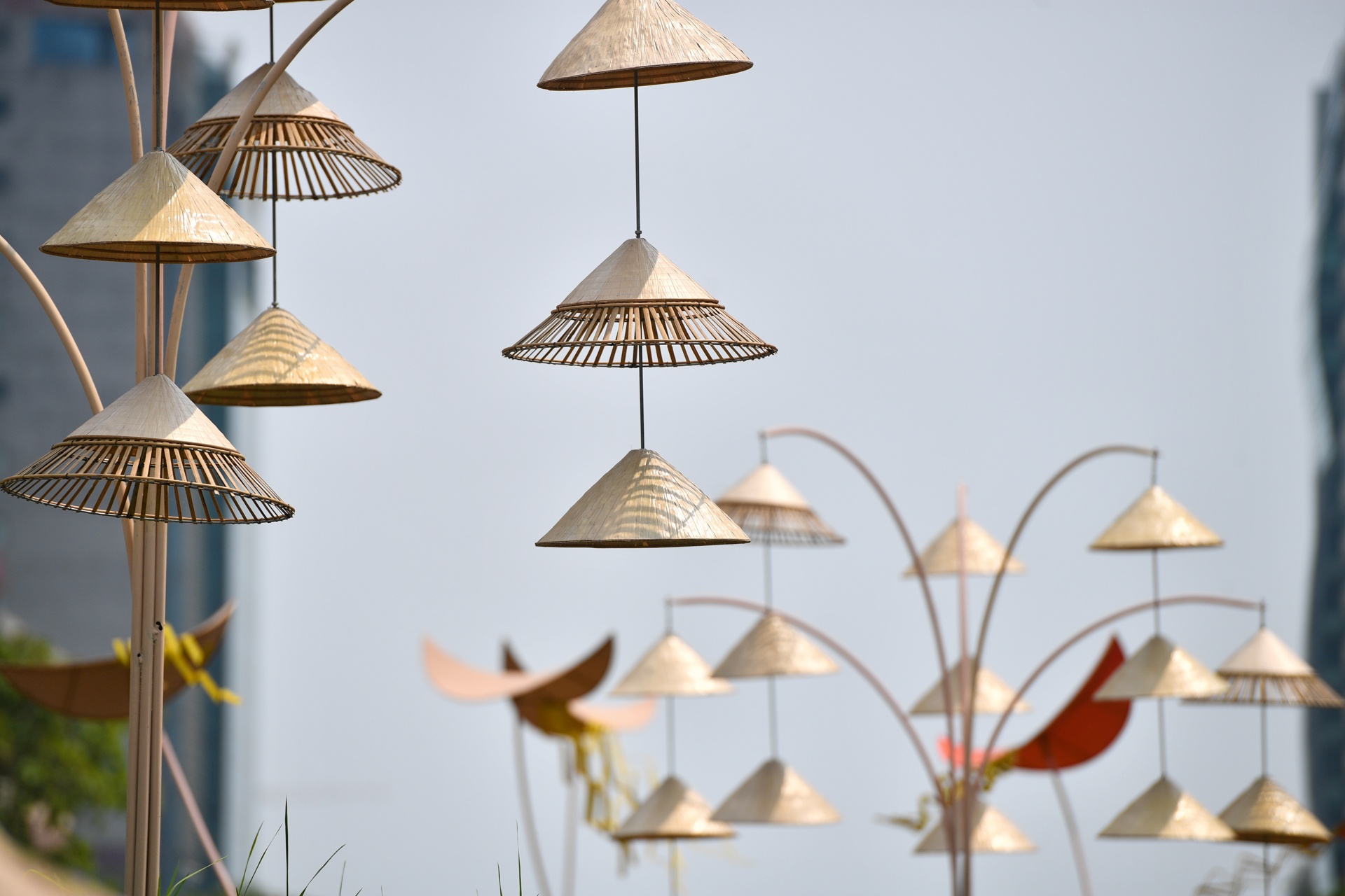 duong hoa Nguyen Hue 2021 anh 18