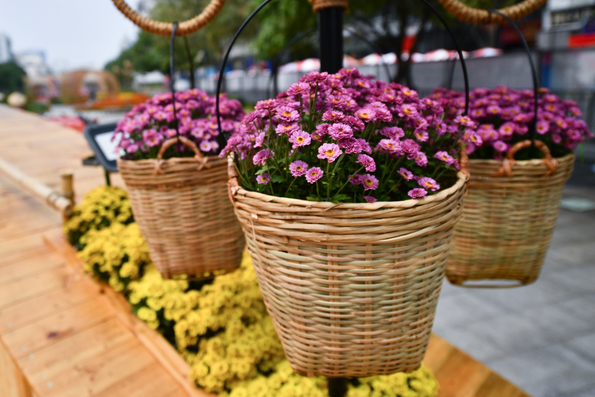 duong hoa Nguyen Hue 2021 anh 28