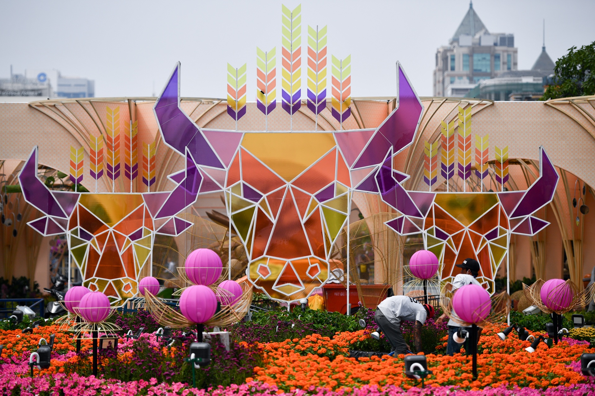 duong hoa Nguyen Hue 2021 anh 21