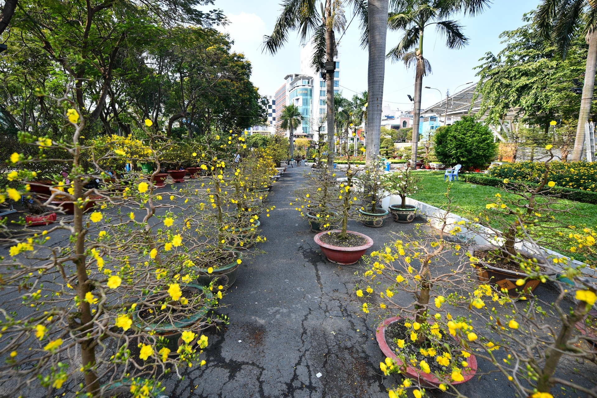 TP.HCM tam dung nhieu hoat dong anh 5