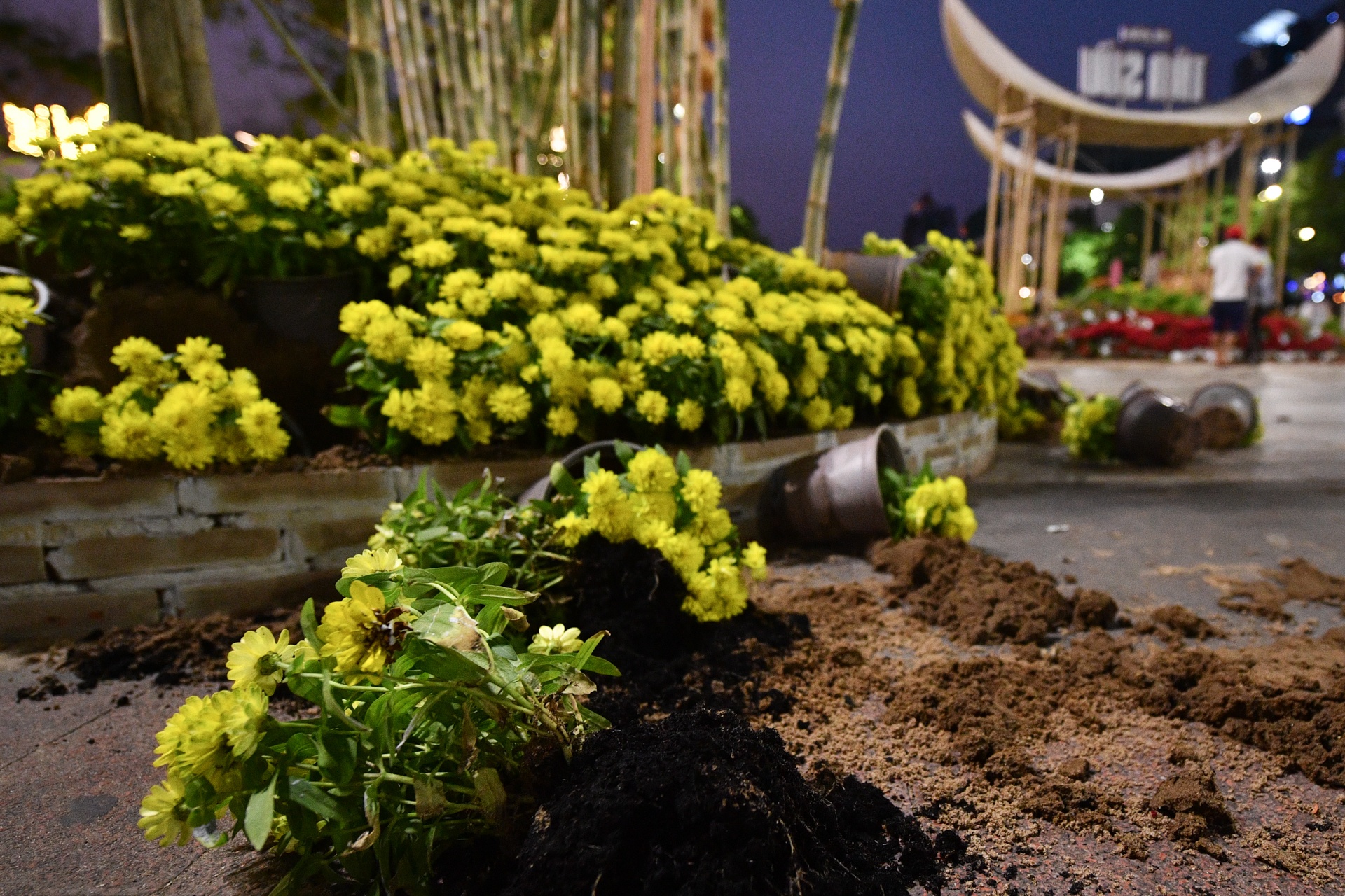 Don dep duong hoa Nguyen Hue anh 6