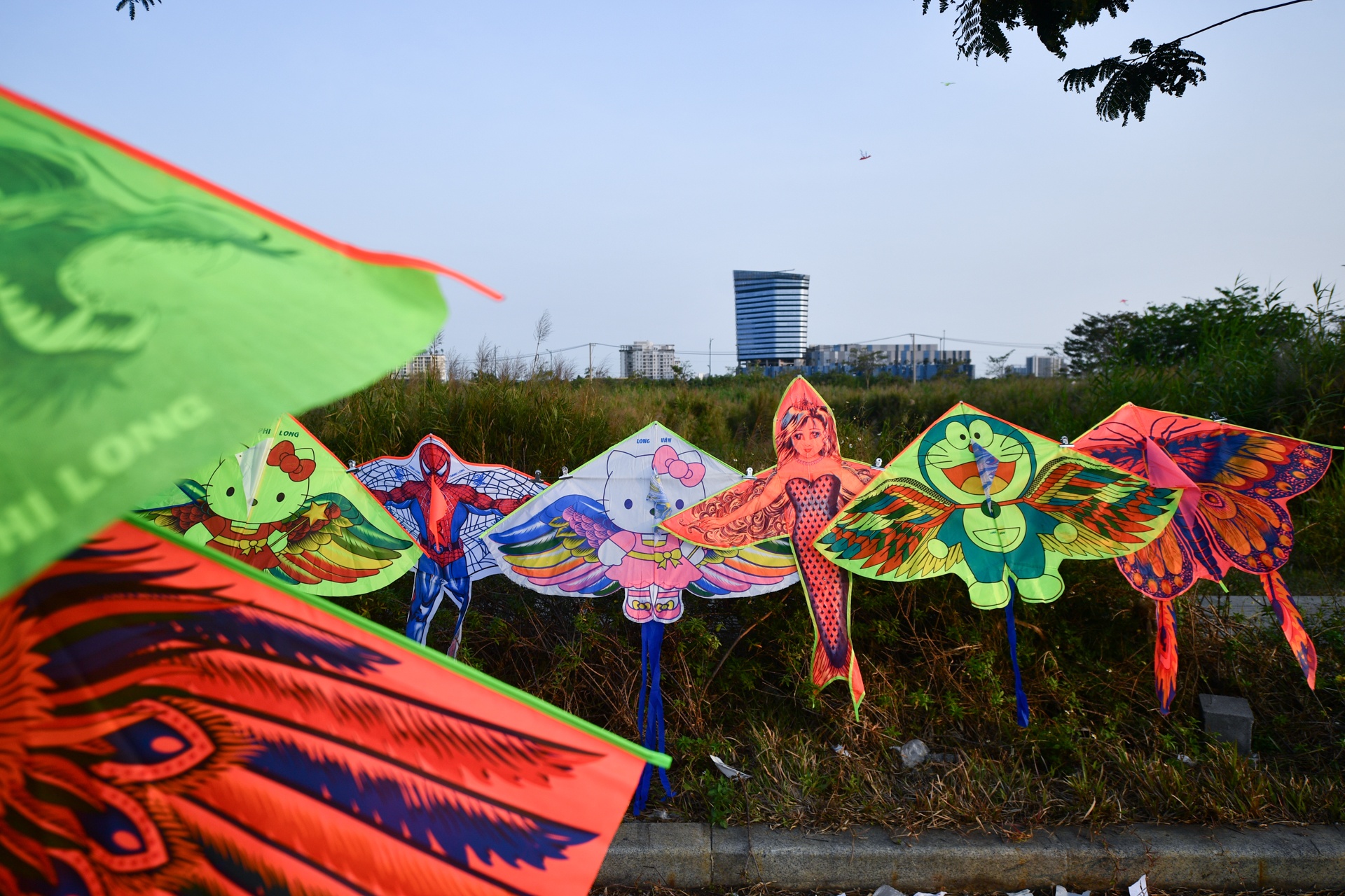 bai tha dieu quan 2 anh 4