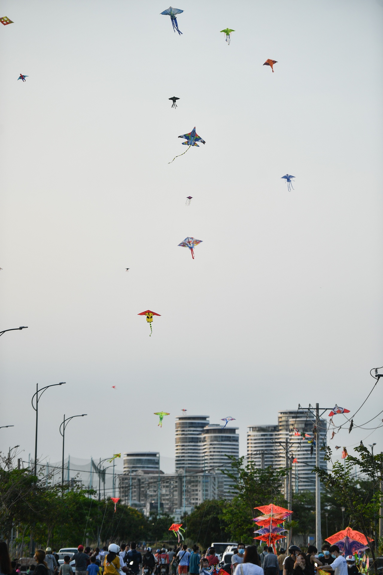 bai tha dieu quan 2 anh 2