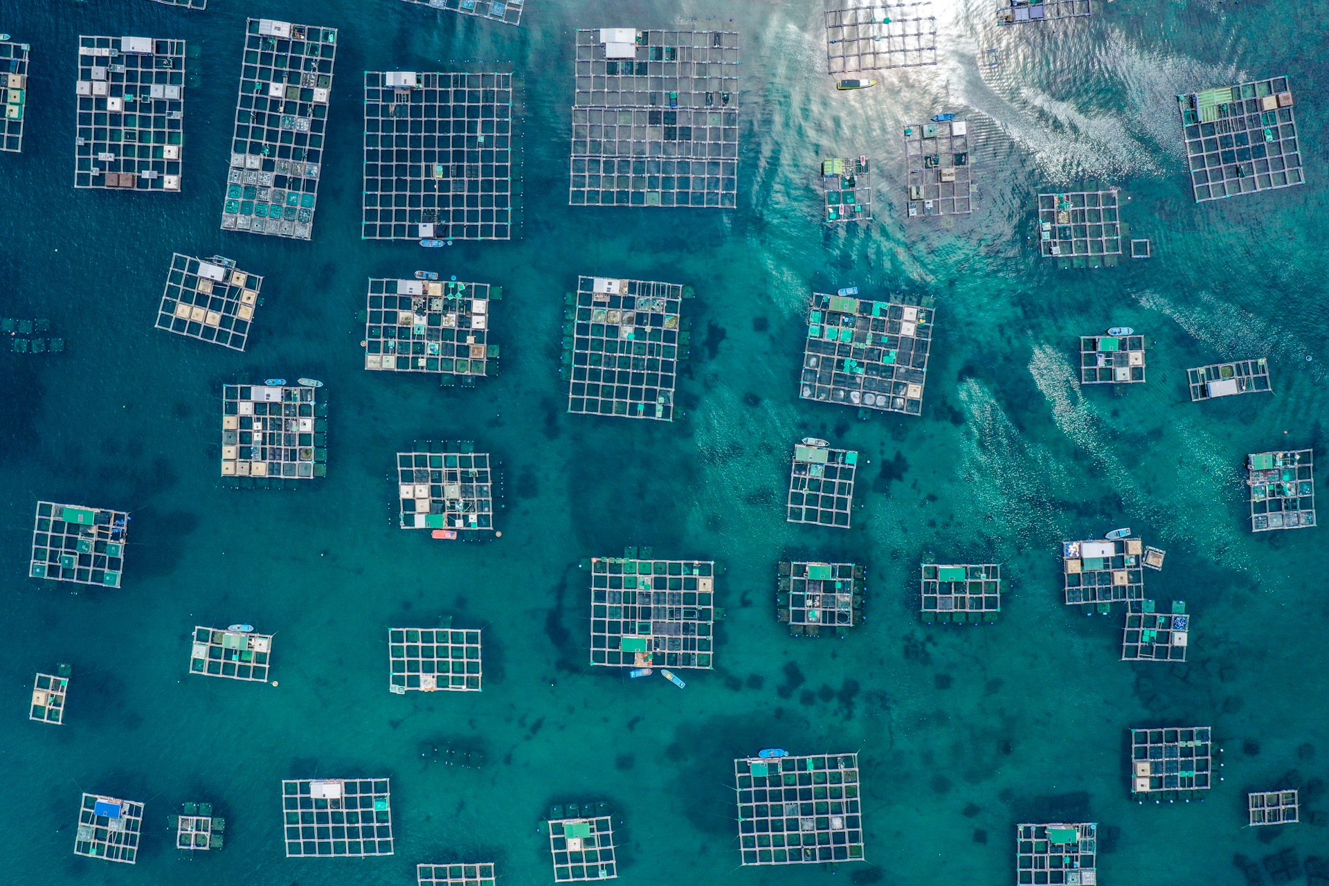 du lich dao binh hung anh 8