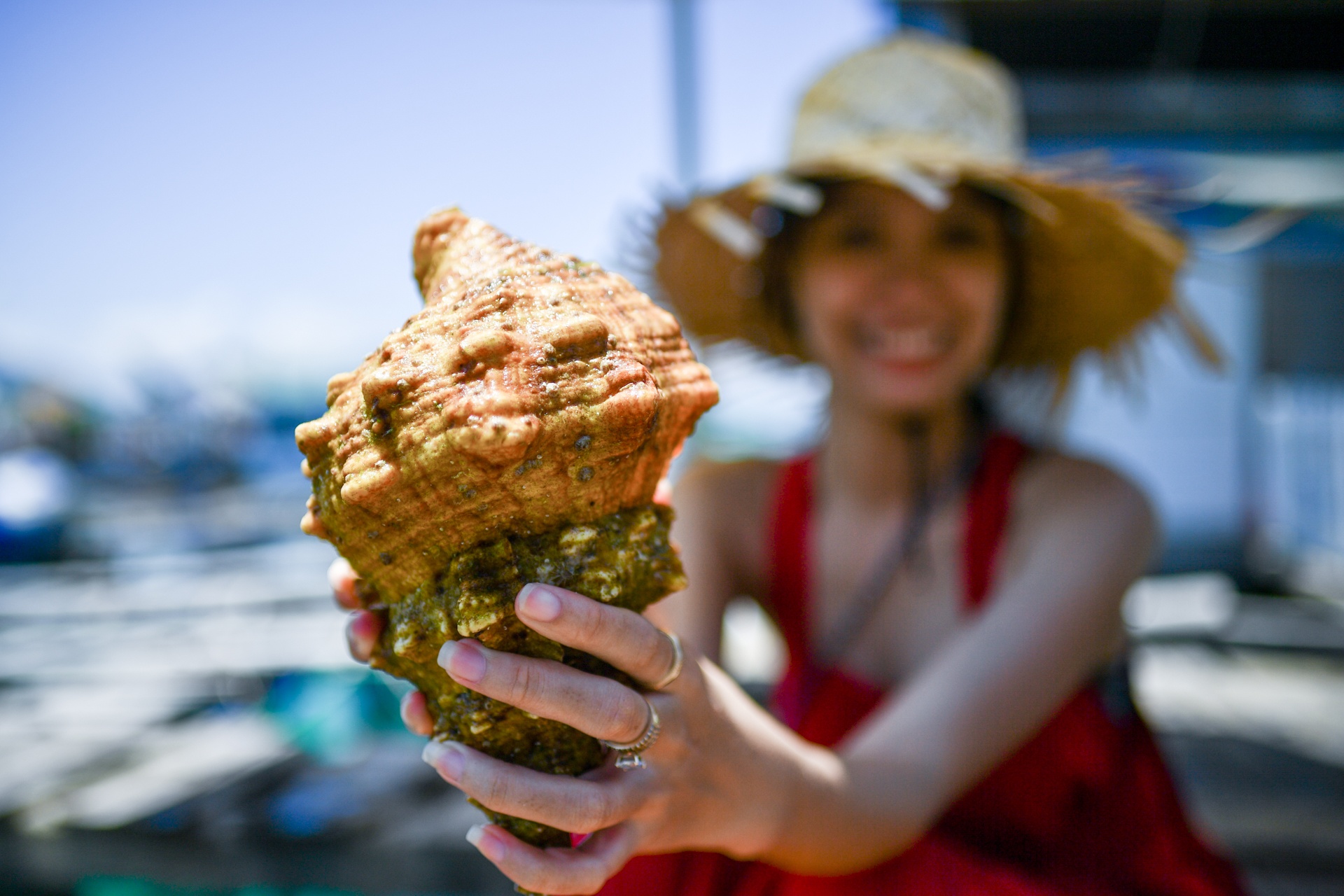 du lich dao binh hung anh 9