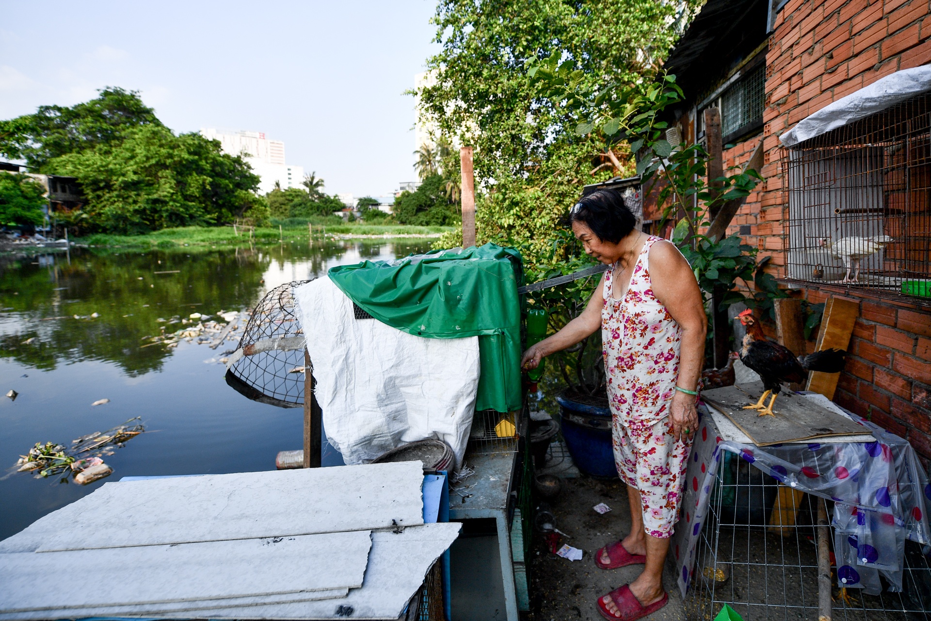 cai tao rach Xuyen Tam anh 12