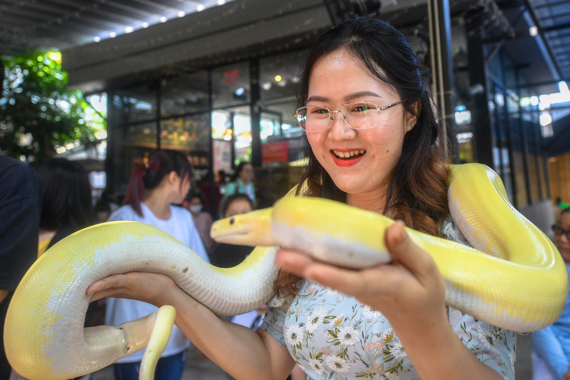 cafe dong vat anh 10