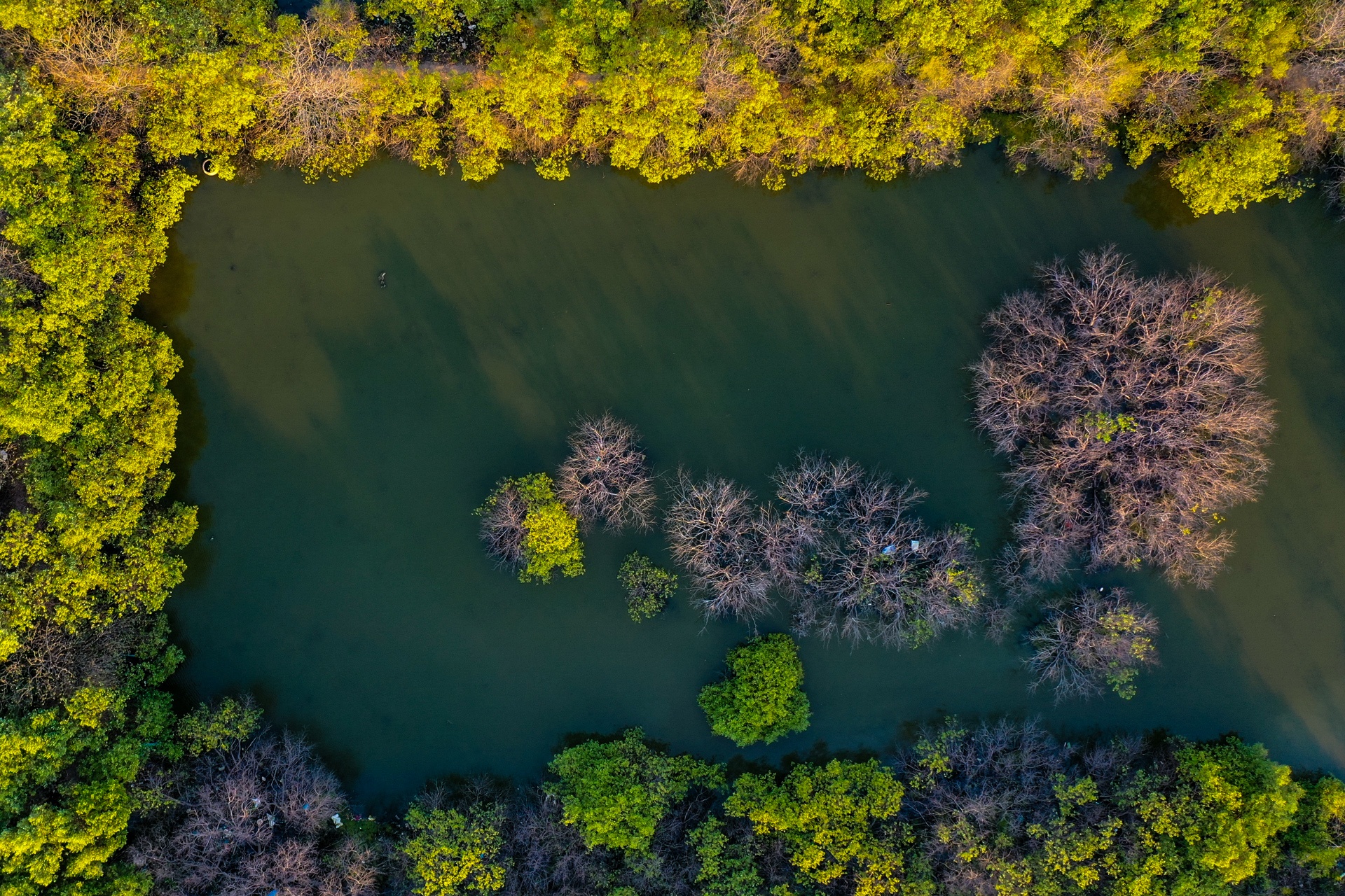 rung ngap man Phan Thiet anh 19
