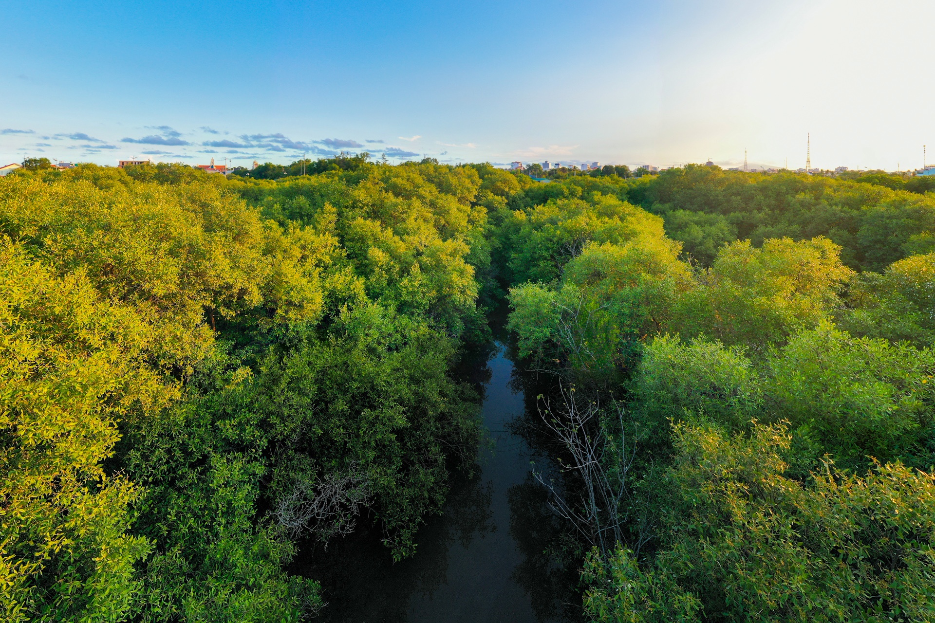 rung ngap man Phan Thiet anh 17