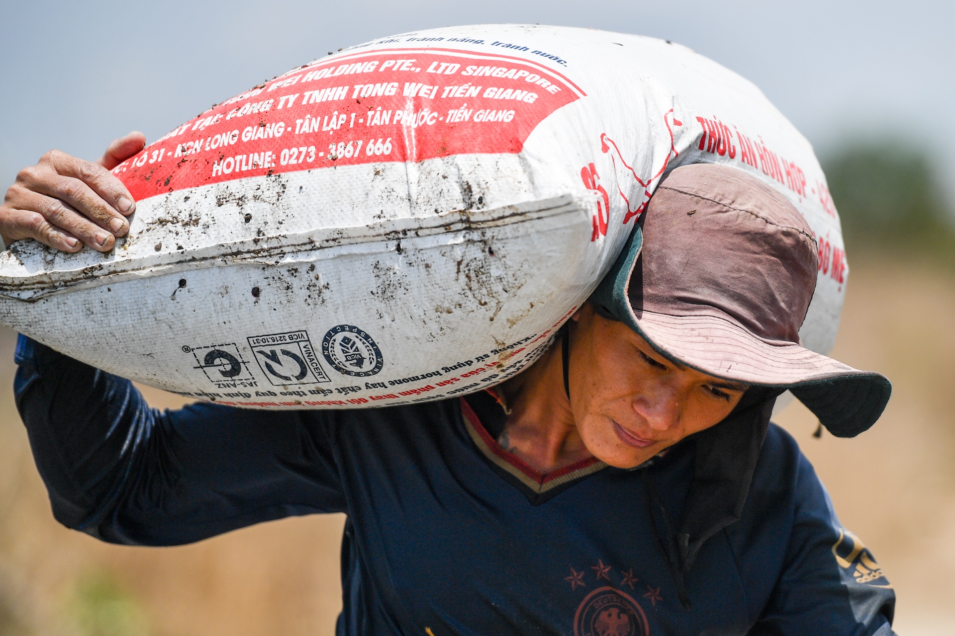 rung ngap man Phan Thiet anh 9