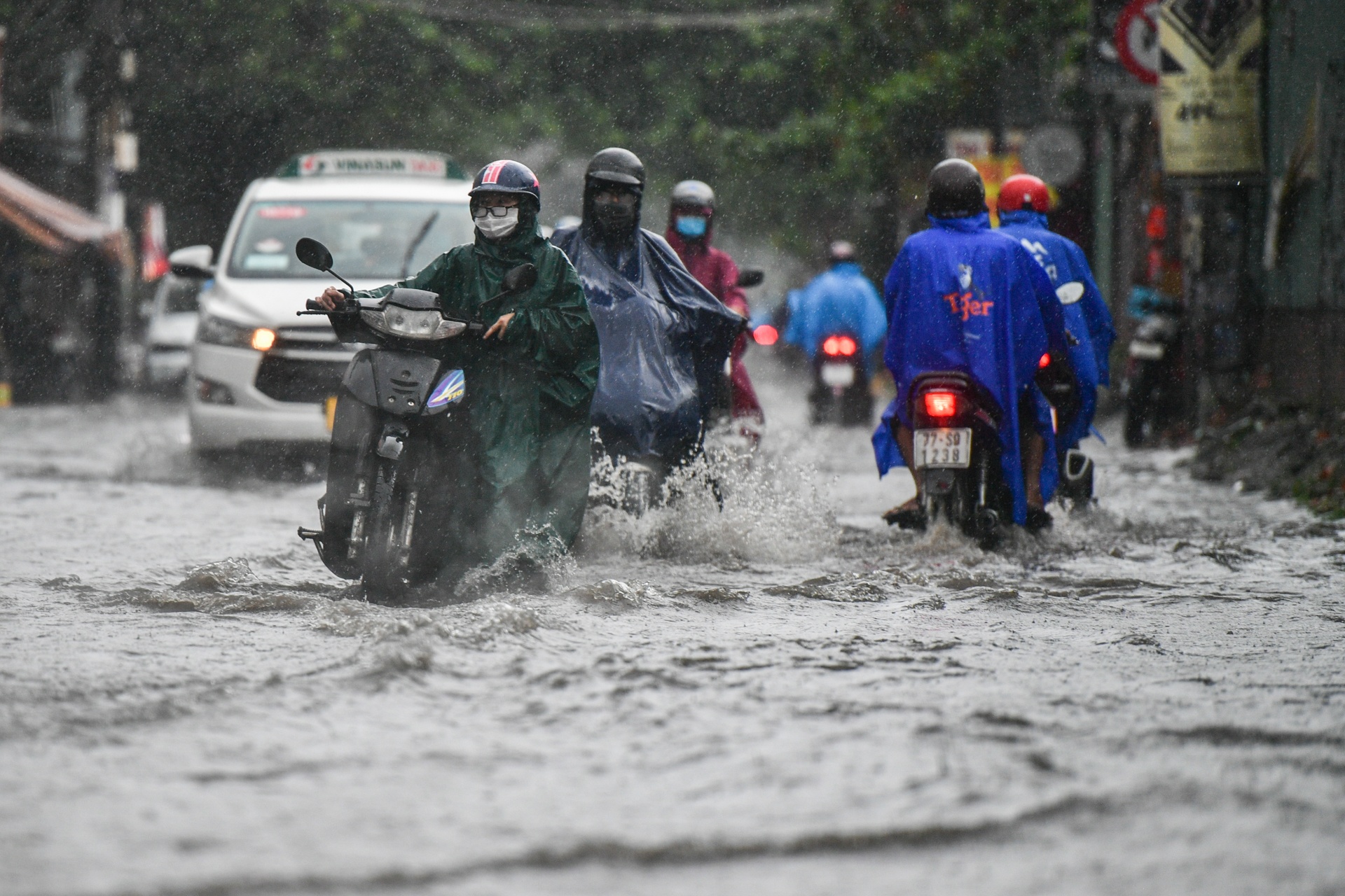 Mua ngap o TP.HCM anh 5