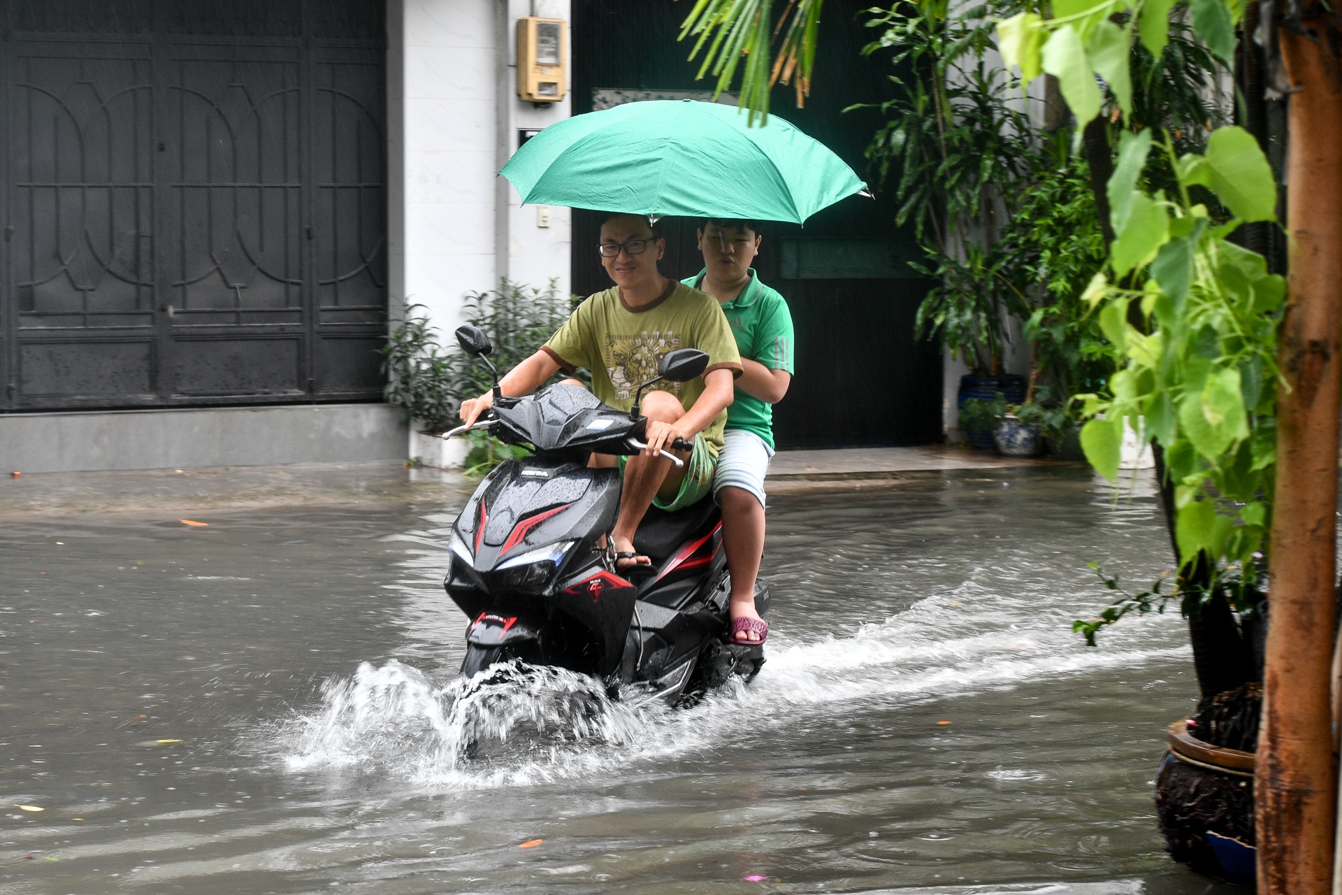 Mua ngap o TP.HCM anh 7