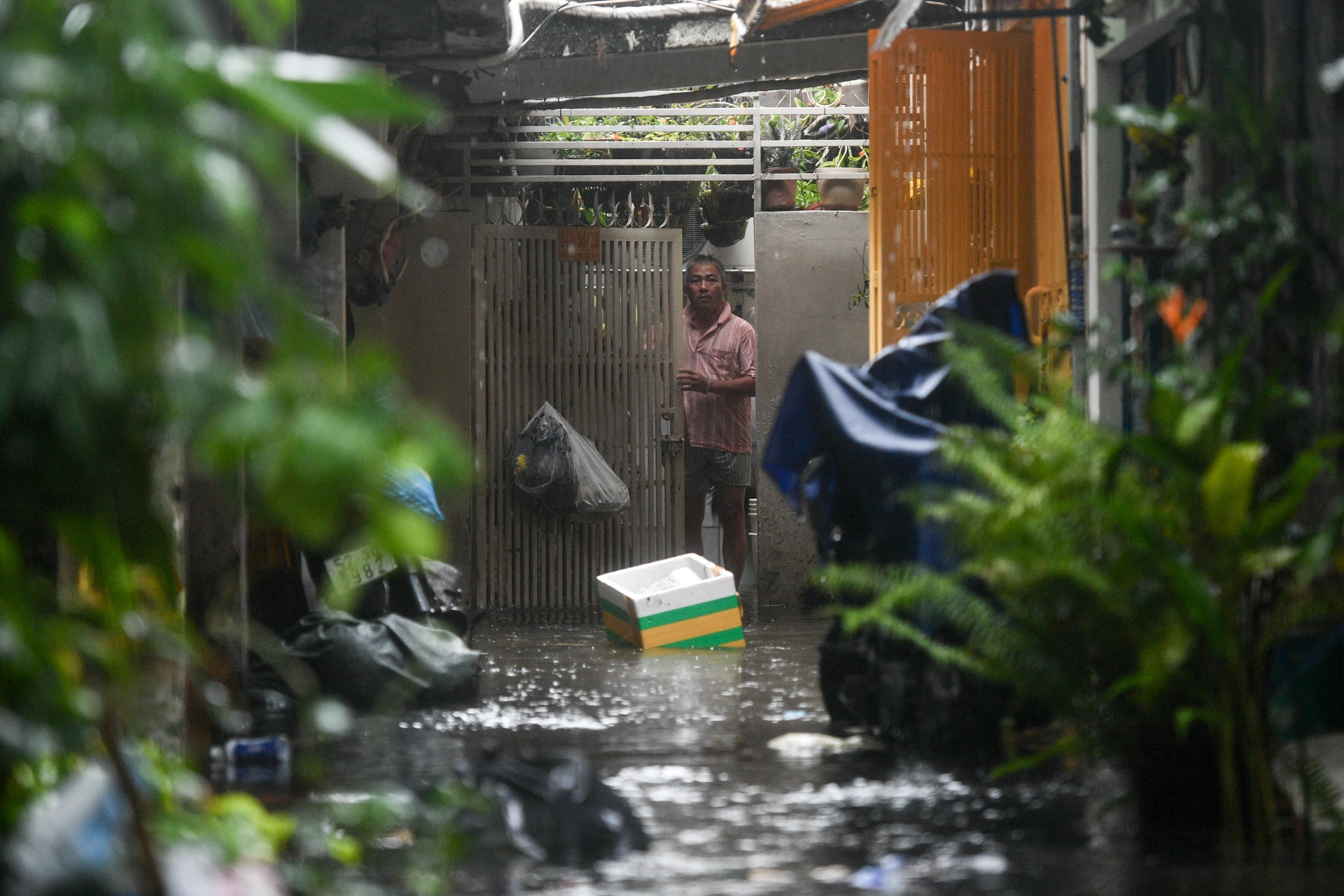 Mua ngap tai TP.HCM anh 9